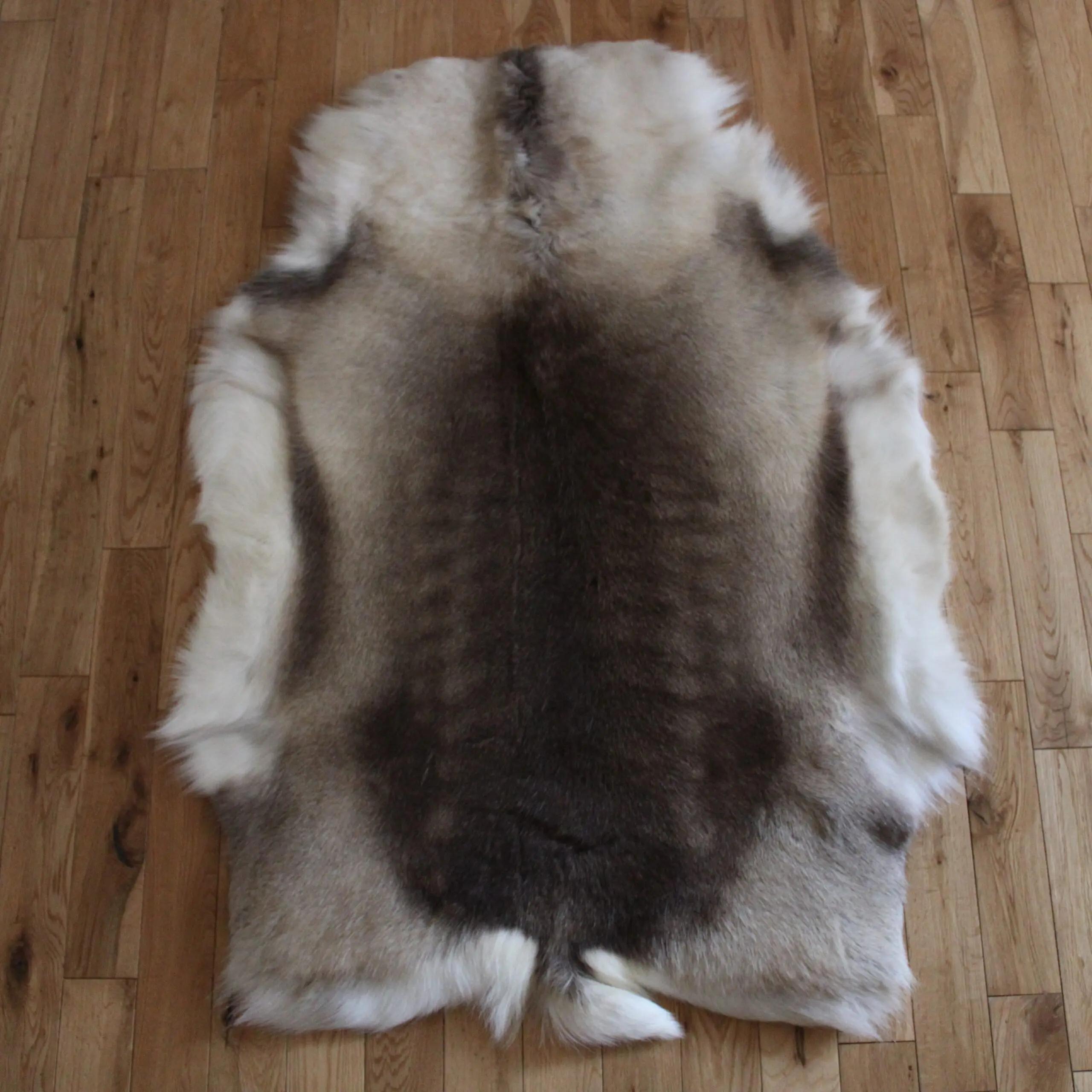 Siberian Reindeer Hide SR257