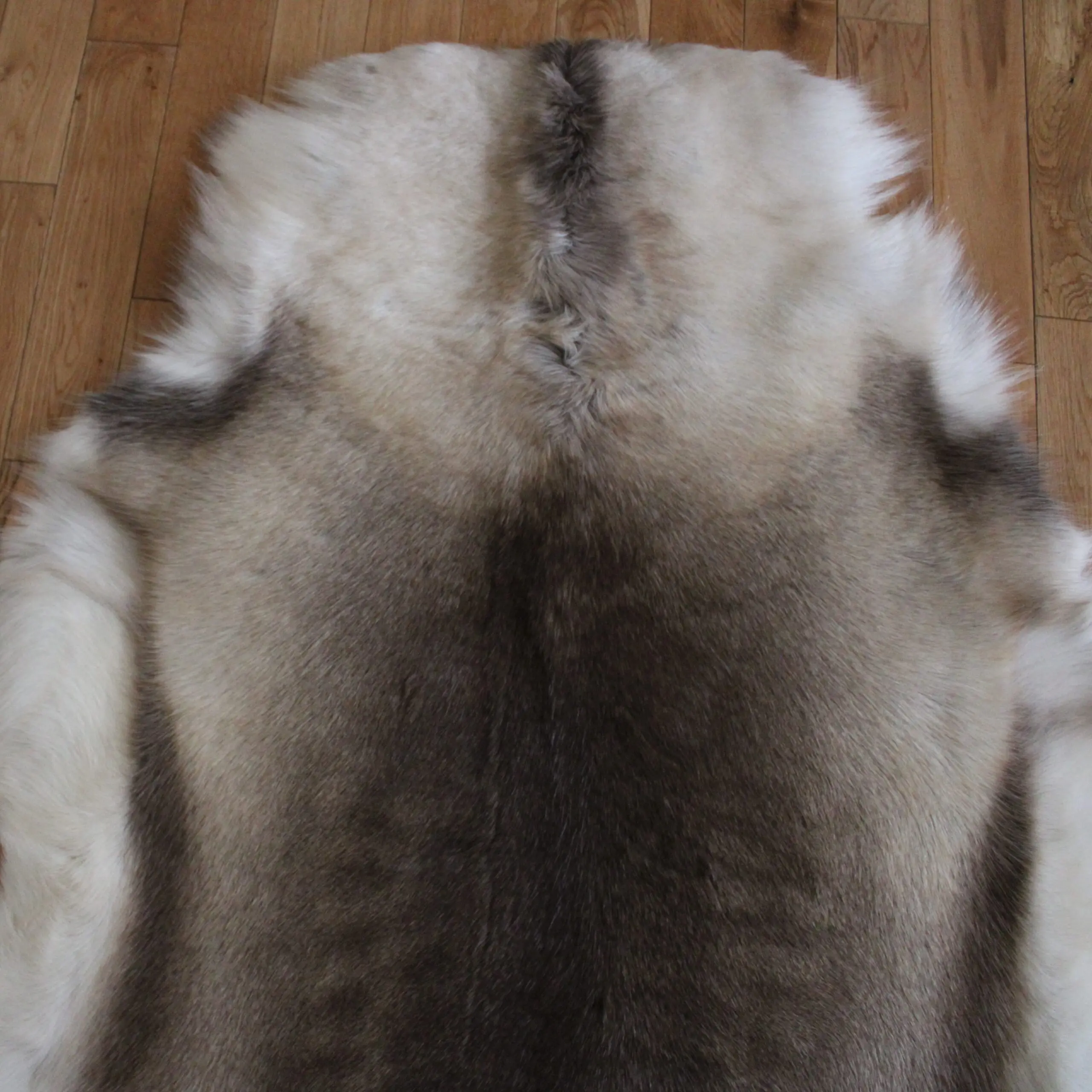 Siberian Reindeer Hide SR257