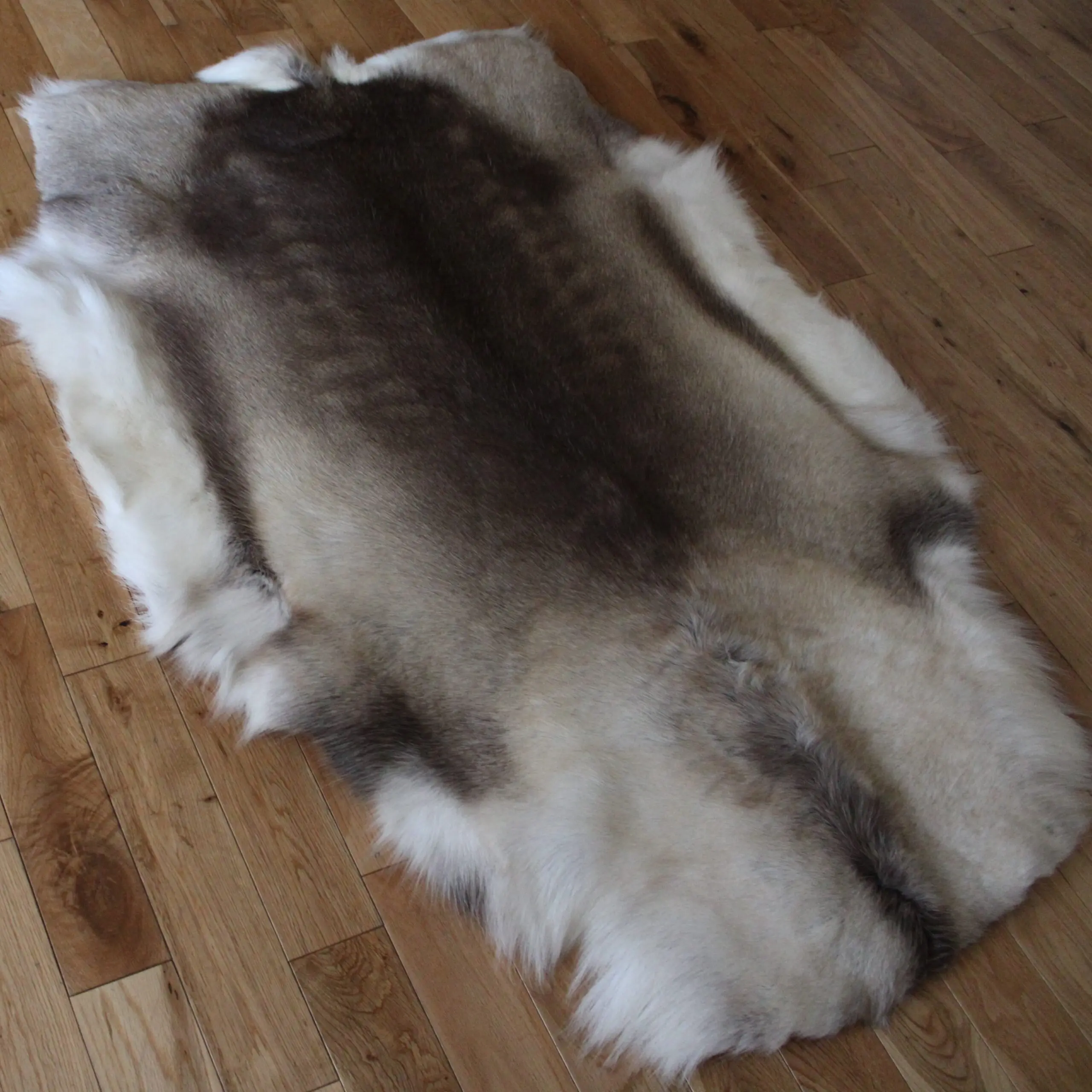 Siberian Reindeer Hide SR257