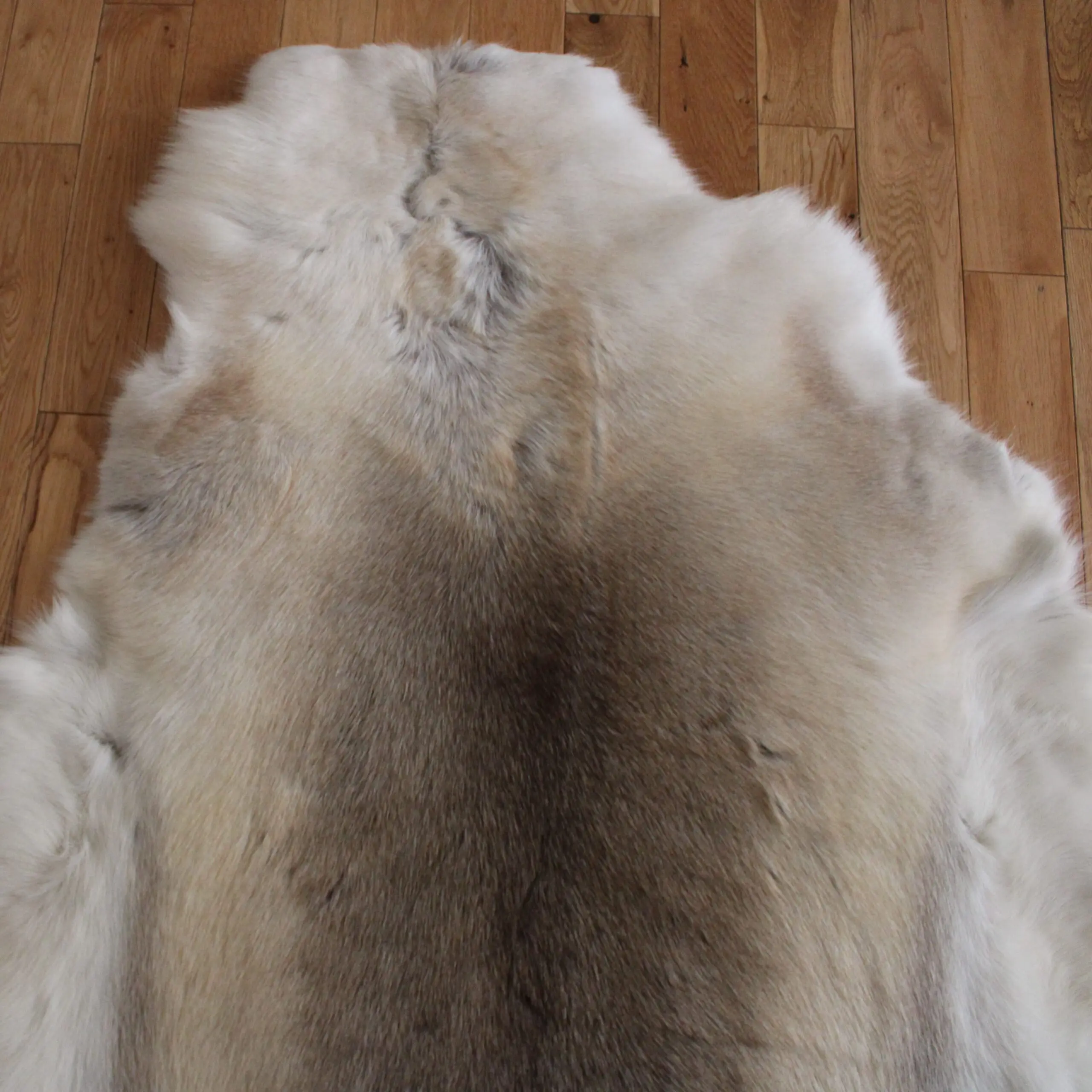 Siberian Reindeer Hide SR258