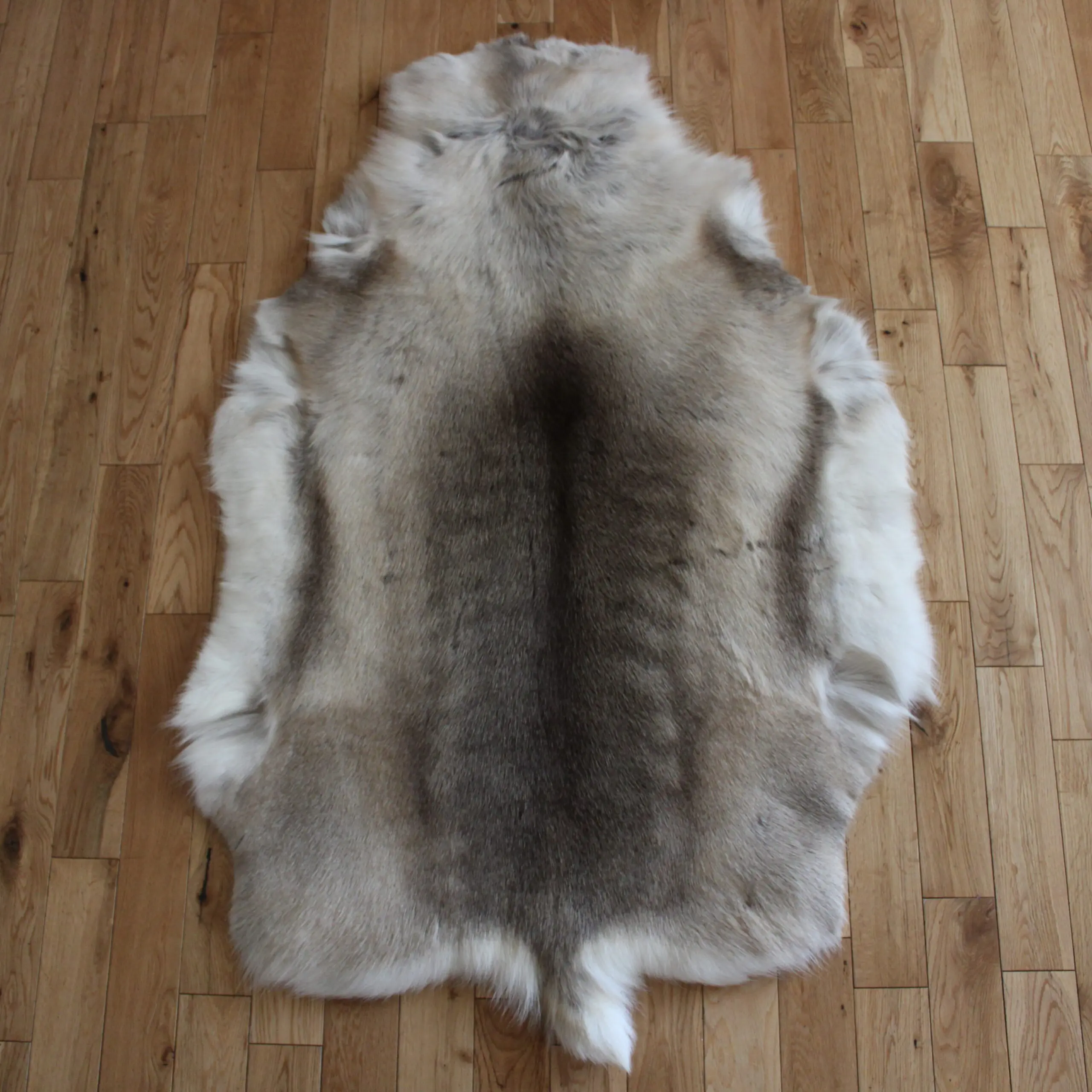 Siberian Reindeer Hide SR259