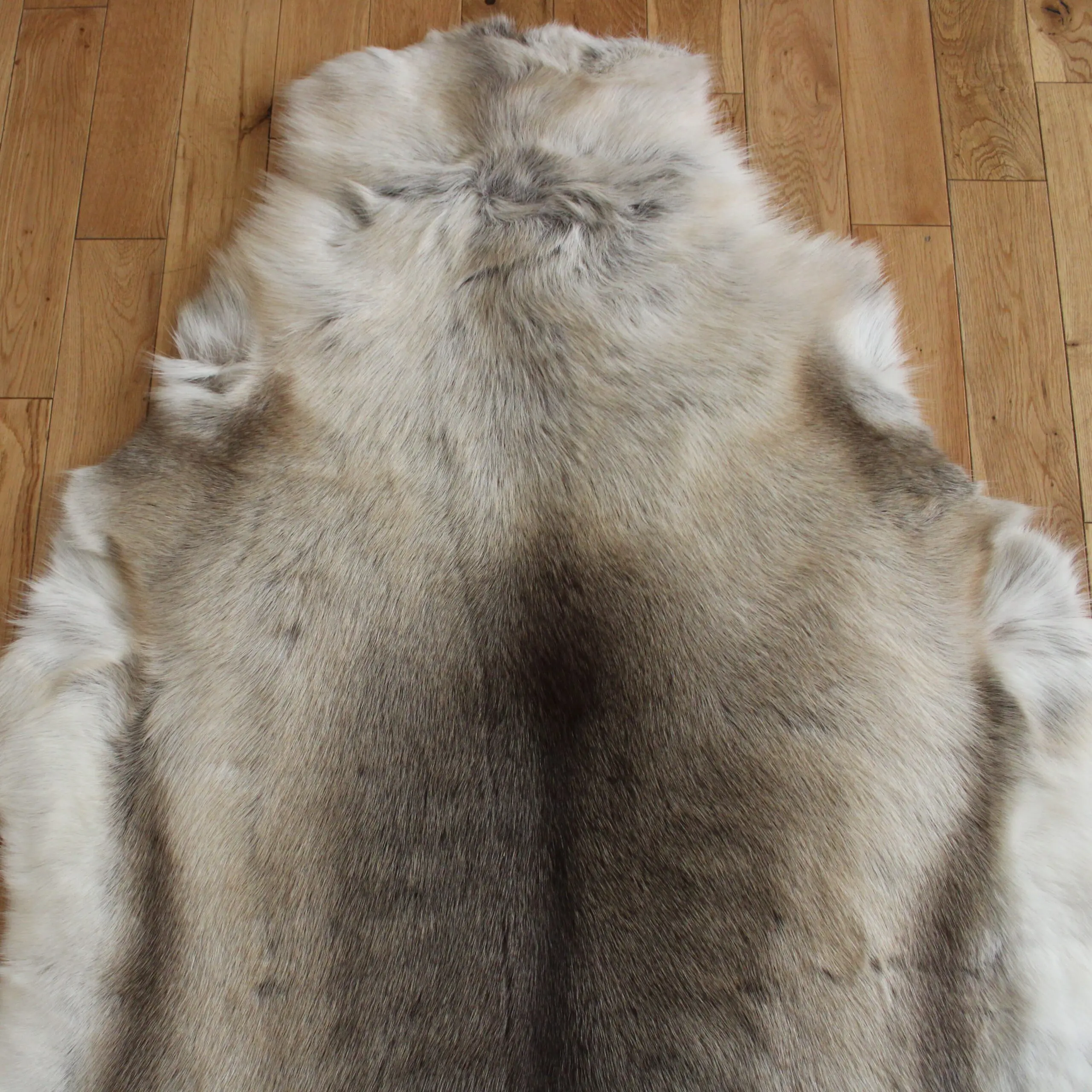 Siberian Reindeer Hide SR259