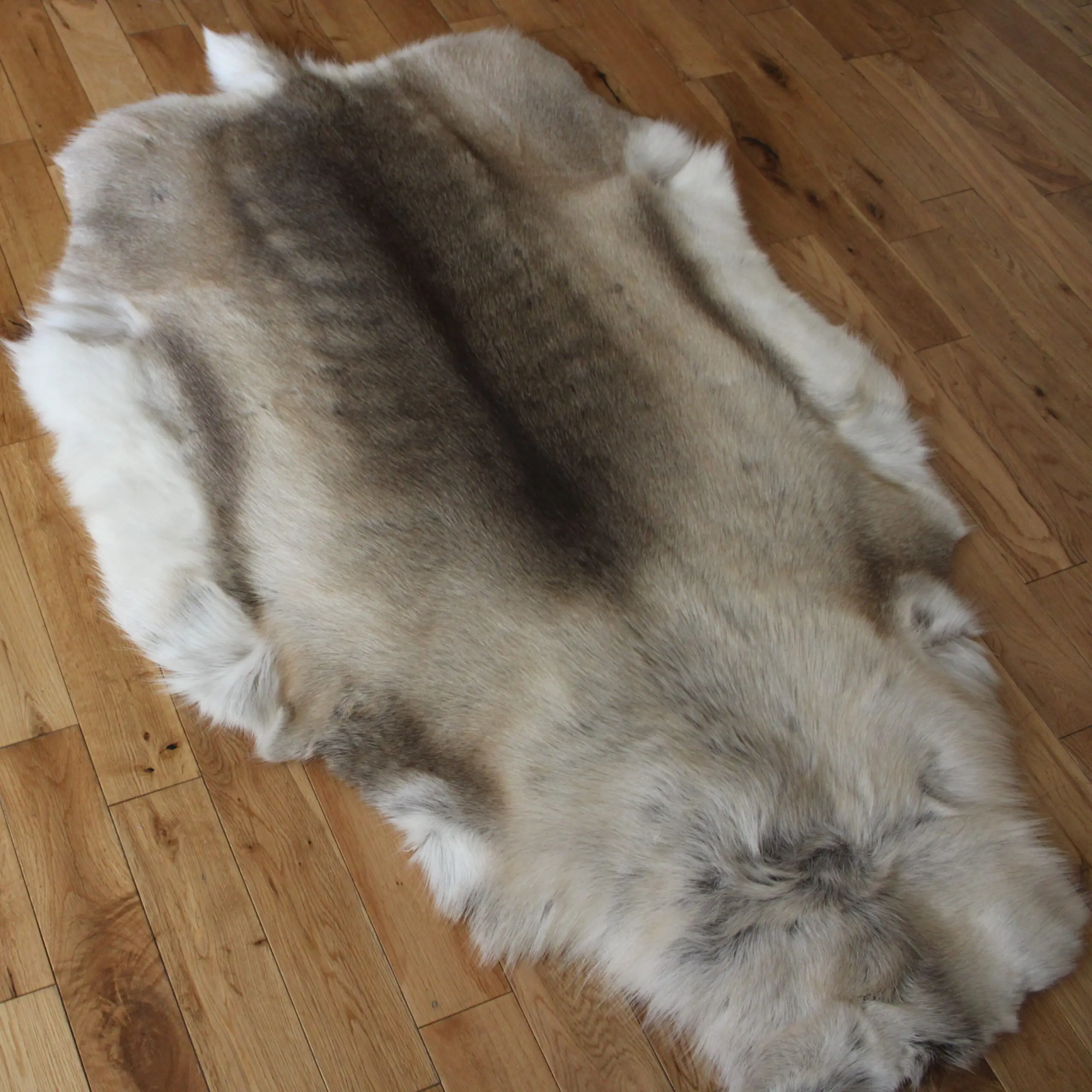 Siberian Reindeer Hide SR259
