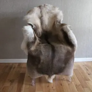 Siberian Reindeer Hide SR260