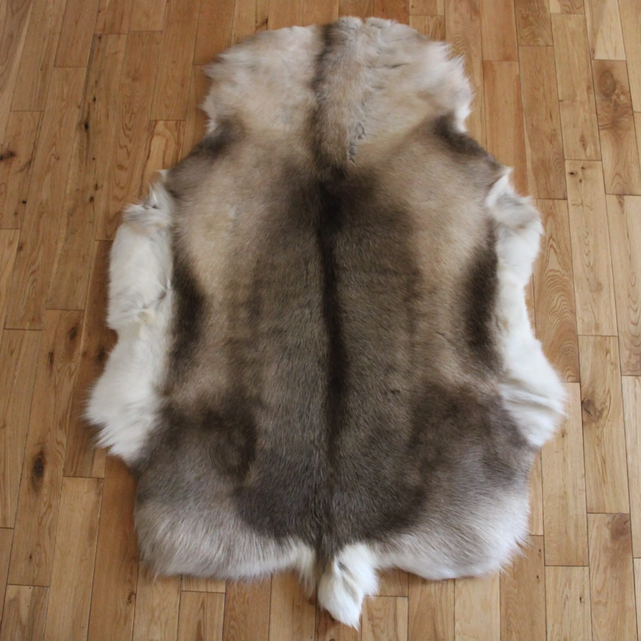 Siberian Reindeer Hide SR260