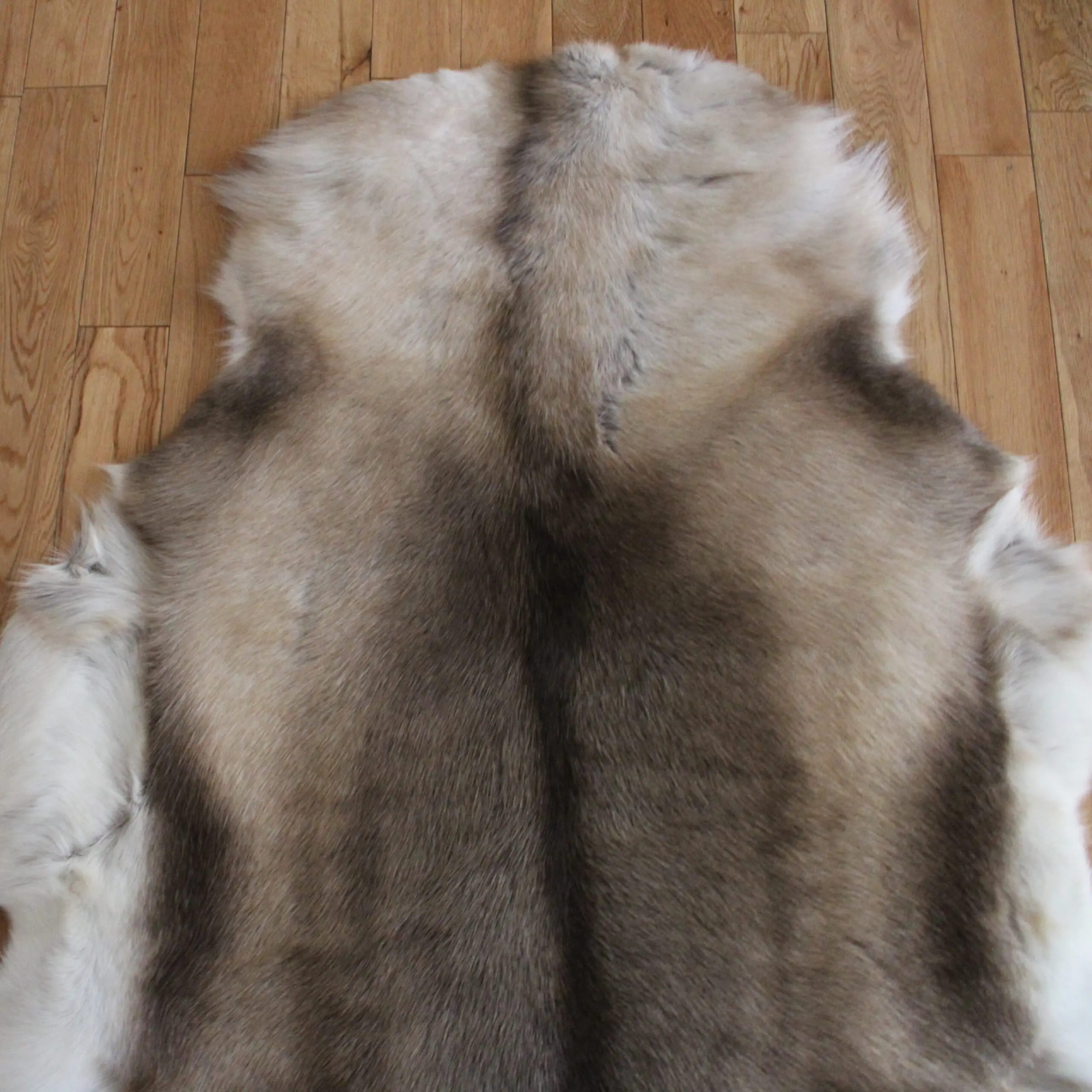 Siberian Reindeer Hide SR260