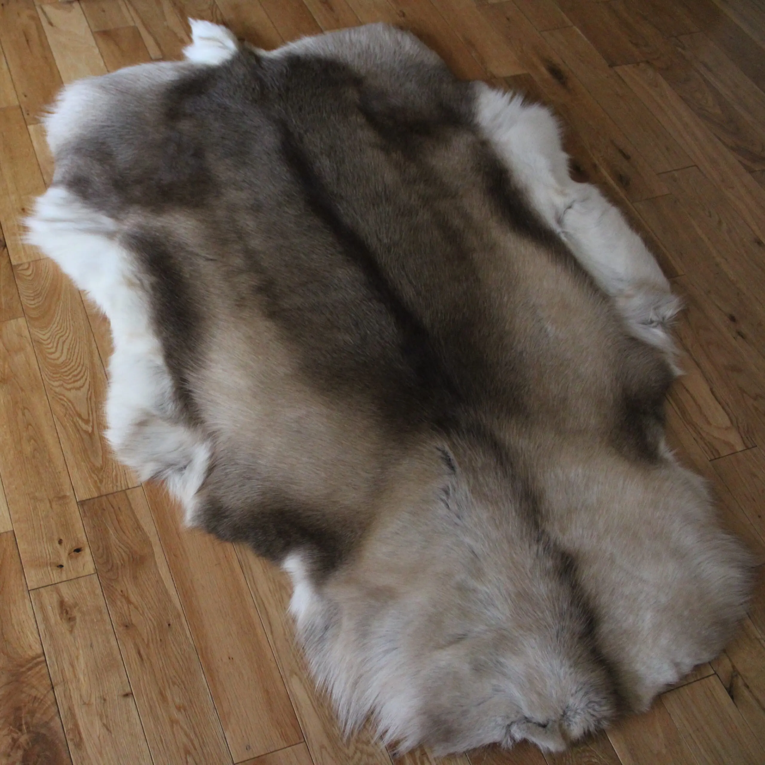 Siberian Reindeer Hide SR260