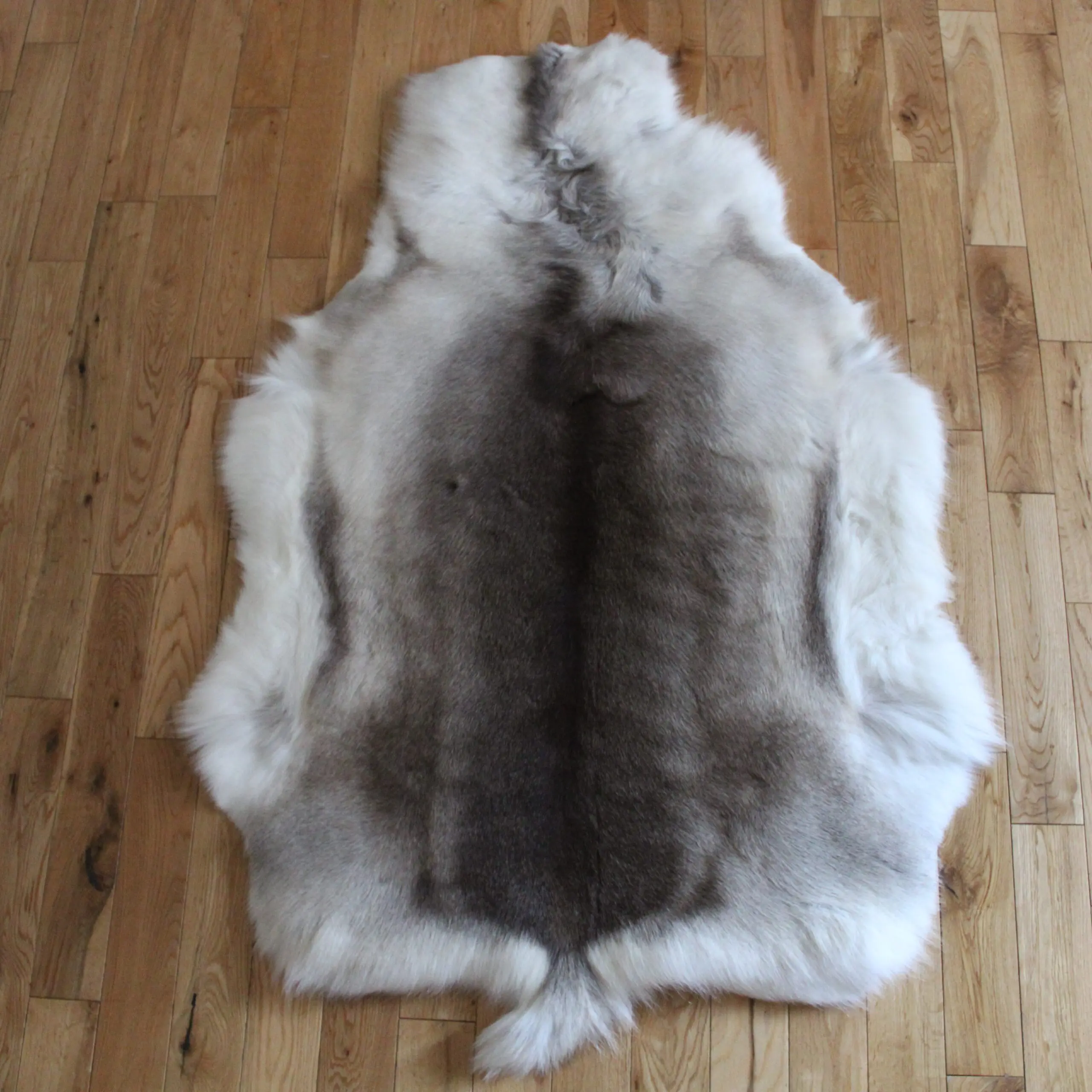 Siberian Reindeer Hide SR261