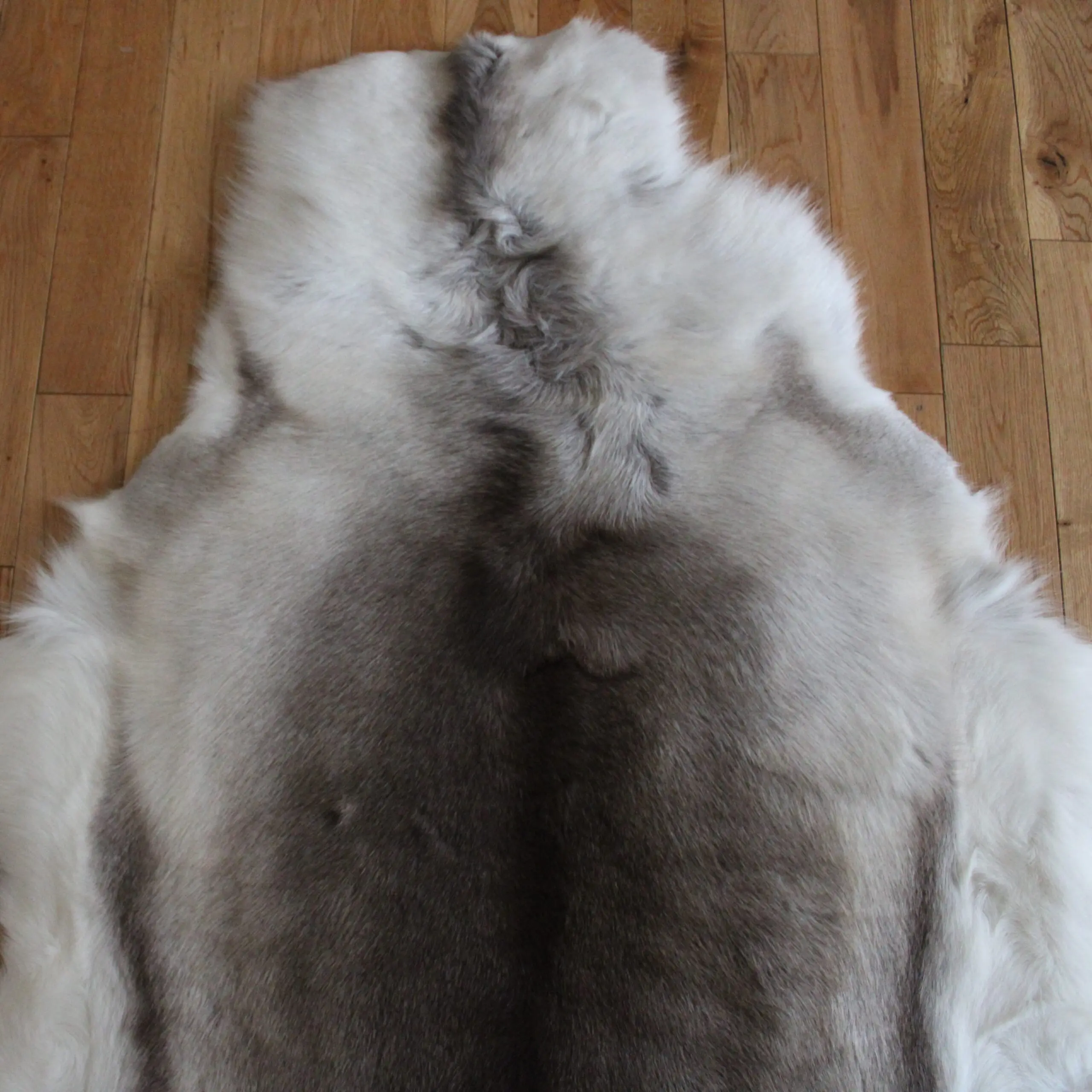 Siberian Reindeer Hide SR261