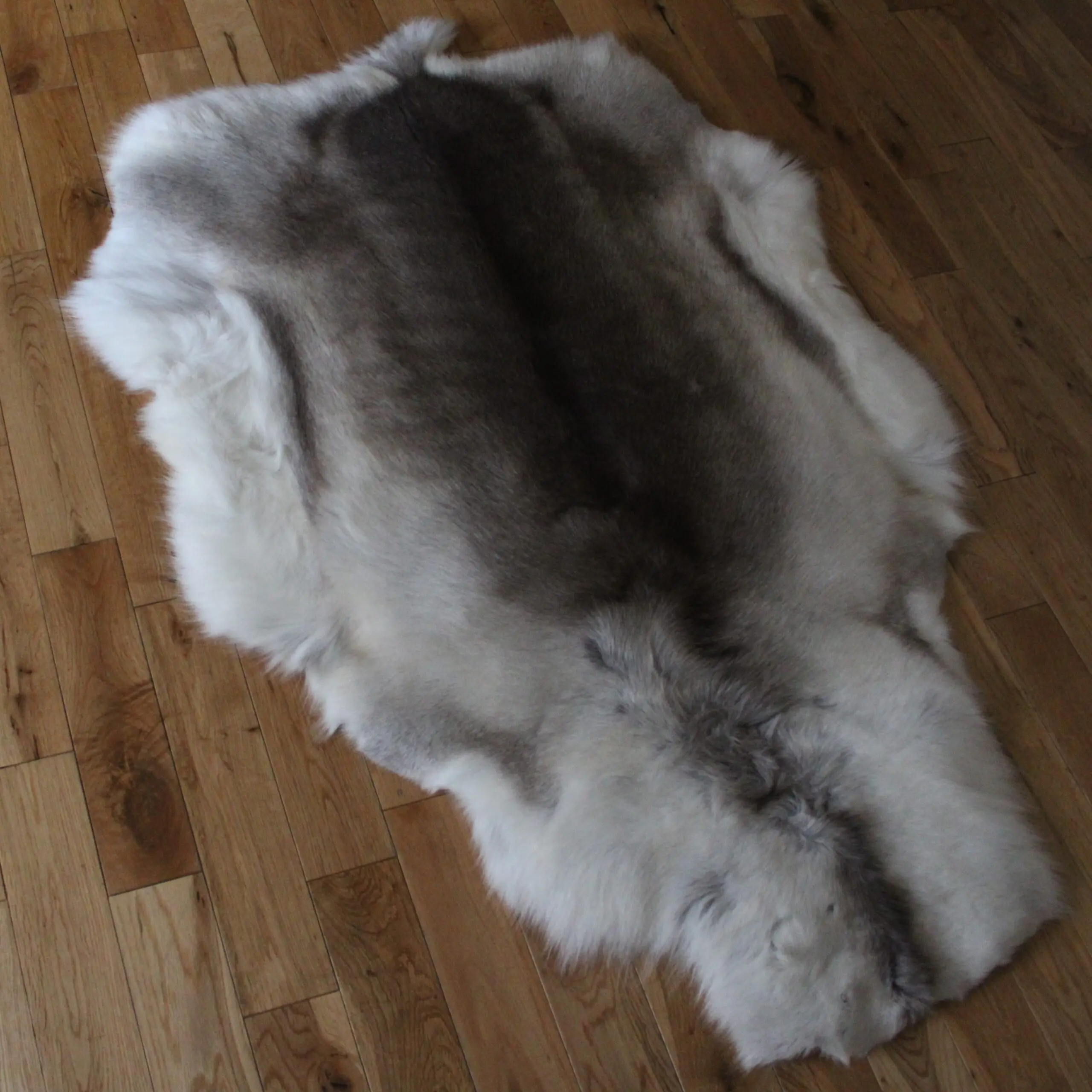 Siberian Reindeer Hide SR261