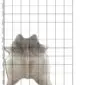 Natural cowhide rug with tan and grey mottled patterns, shown on a white grid background.