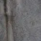 Close-up of a grey and tan cowhide rug showing natural hair texture and a dark vertical spine mark.
