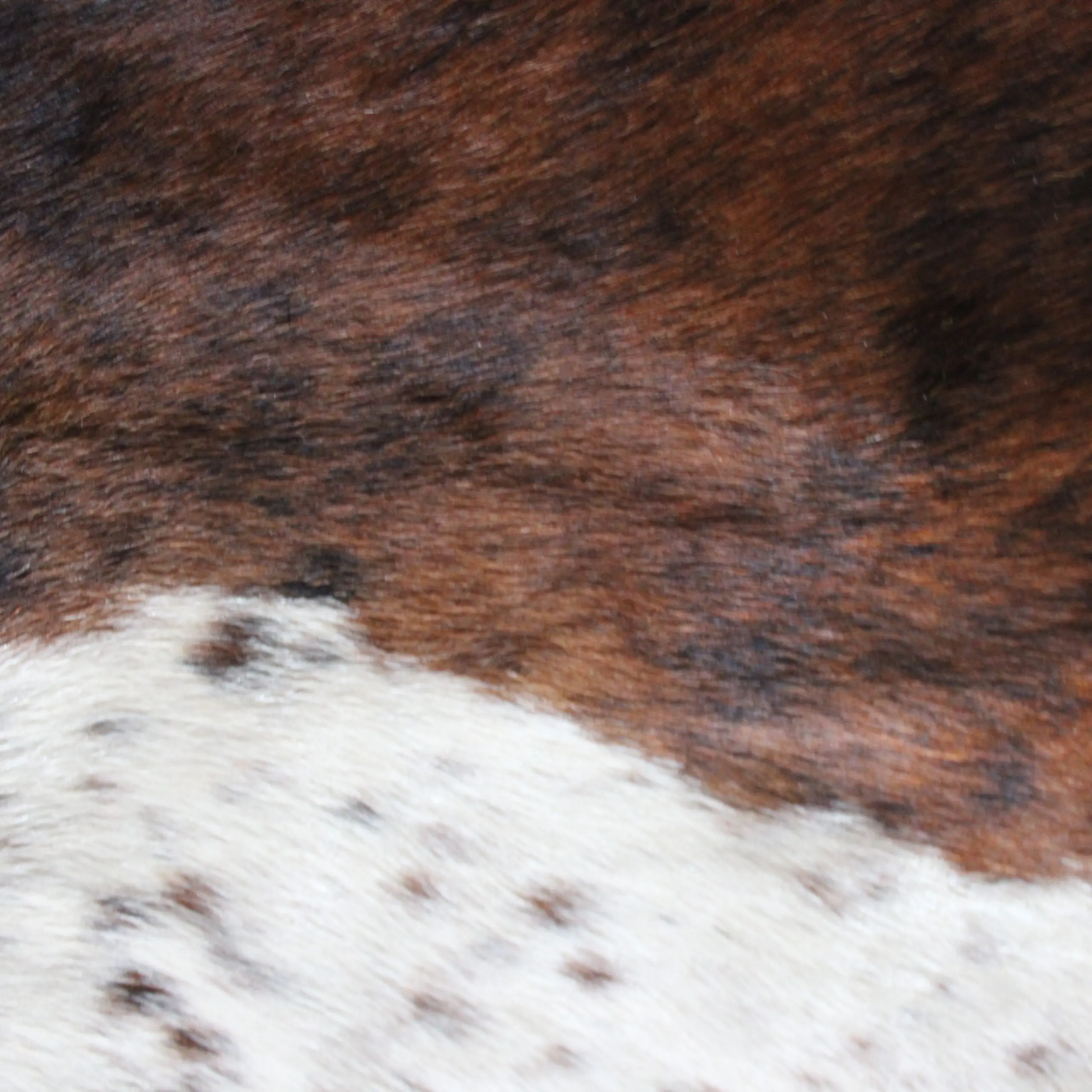Cowhide Rug Exotic C01035