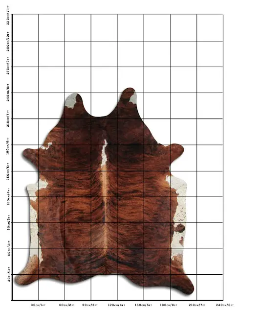 Cowhide Rug Exotic C01035