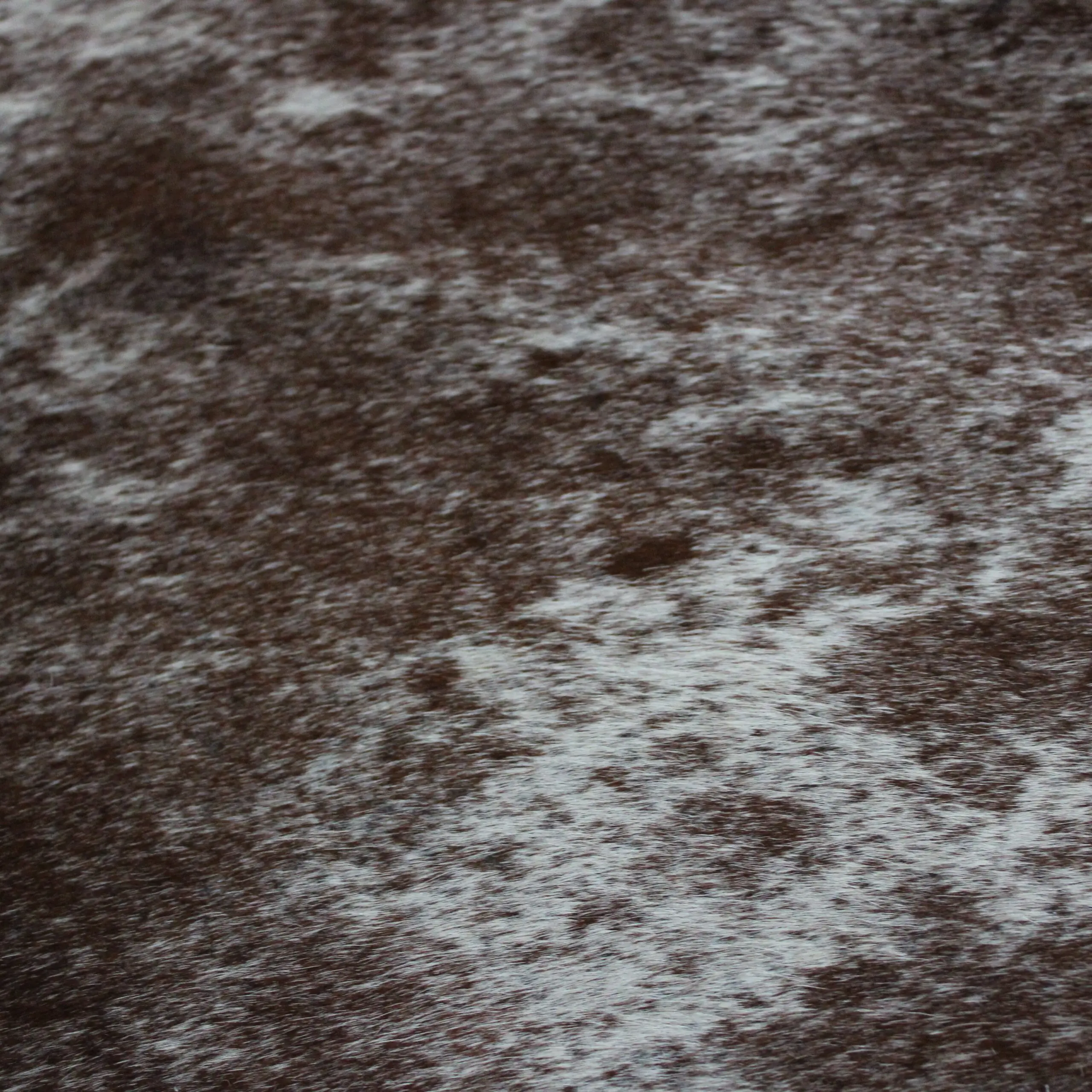 Cowhide Rug Speckled C01060