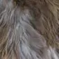 Close-up of long, textured Icelandic sheepskin wool in mottled rusty grey and brown tones.