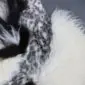 Close up of a multi layer sheepskin rug featuring long white, black and grey speckled wool textures.