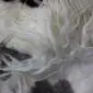 Close-up of long, wavy white sheepskin wool fibres on a multi layer designer rug.