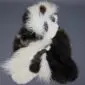 Large multi-layered sheepskin rug featuring long-pile wool in contrasting cream and dark brown patches.
