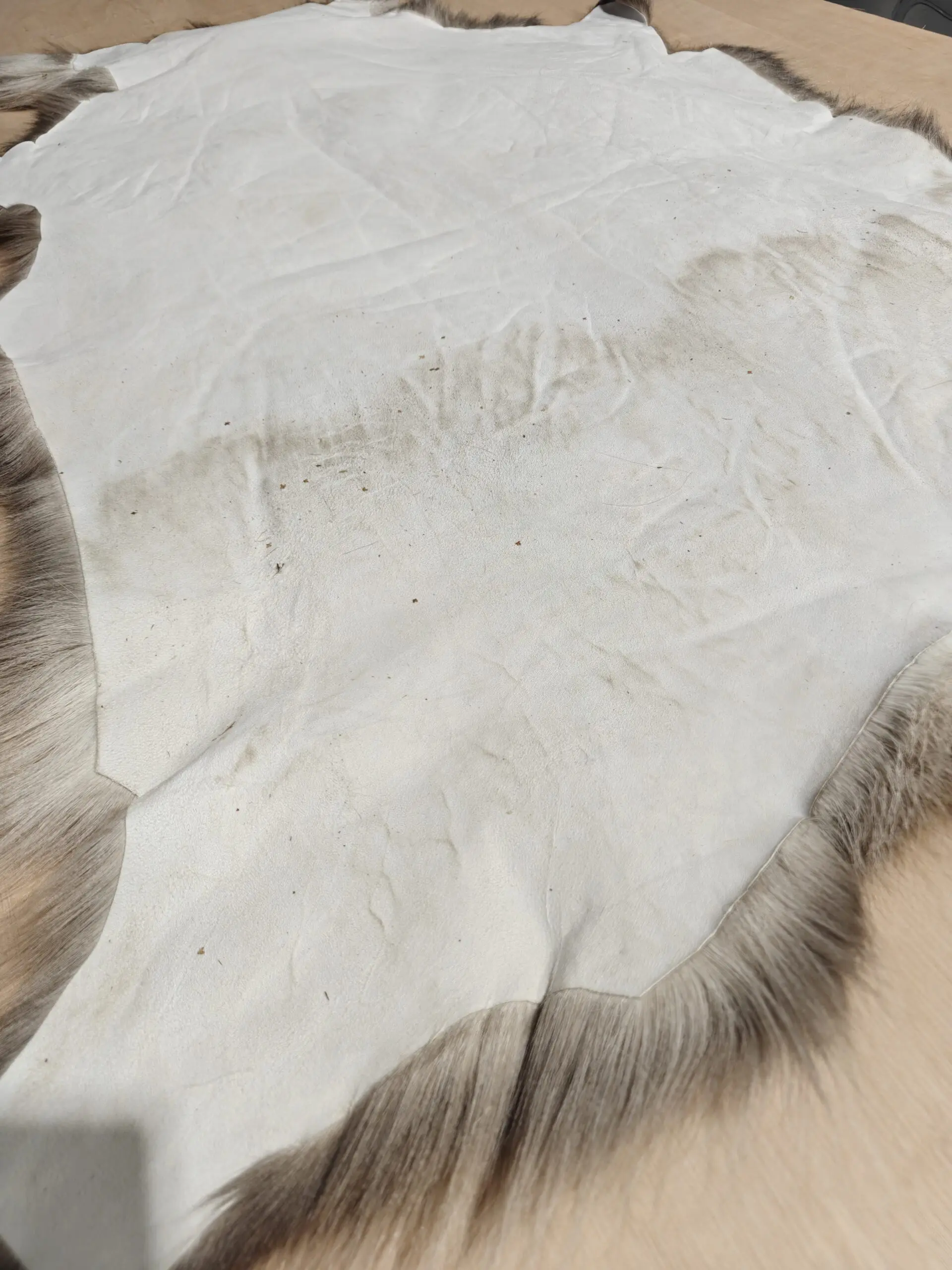 Reindeer Hide Rug R1293