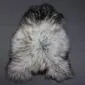 Long-haired Icelandic sheepskin rug in natural grey and white tones with a thick, shaggy texture.