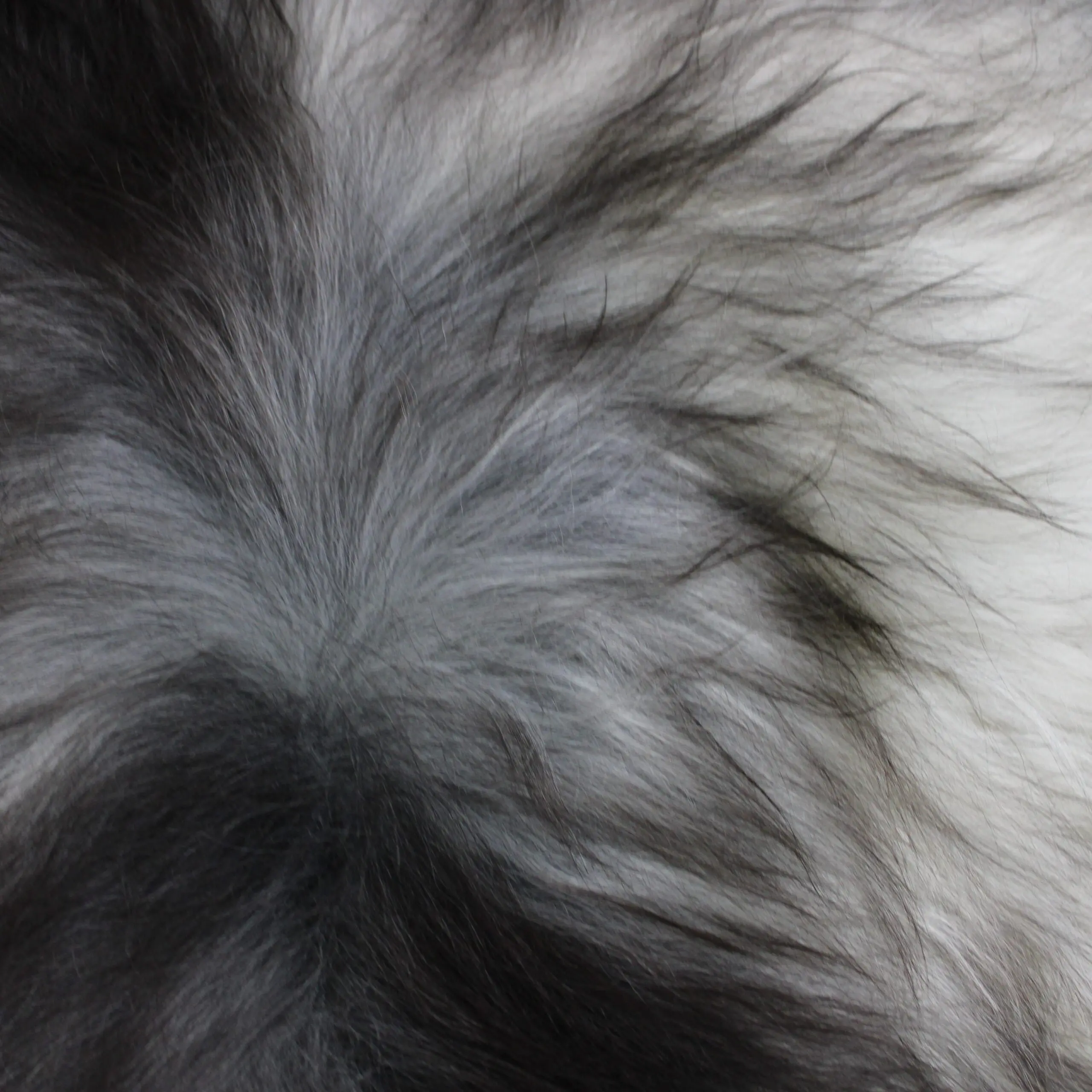 Natural Grey Icelandic Sheepskin Rug ING393