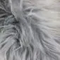 Natural Grey Icelandic Sheepskin Rug ING393 (4) Close-up of long, shaggy grey and white Icelandic sheepskin wool fibres.