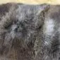 Close-up of a rare breed sheepskin rug featuring thick, textured wool in mottled shades of grey, brown and cream.