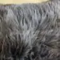 Close-up of a rare breed sheepskin rug featuring long, textured grey and brown wool fibres.