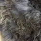 Close-up of a rare breed sheepskin rug with long, textured wool in mottled shades of grey, brown, and cream.