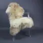 Natural cream and brown rare breed sheepskin rug laid flat.