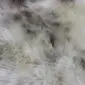 Close-up of a rare breed sheepskin rug featuring long, textured wool in shades of cream, grey, and brown.