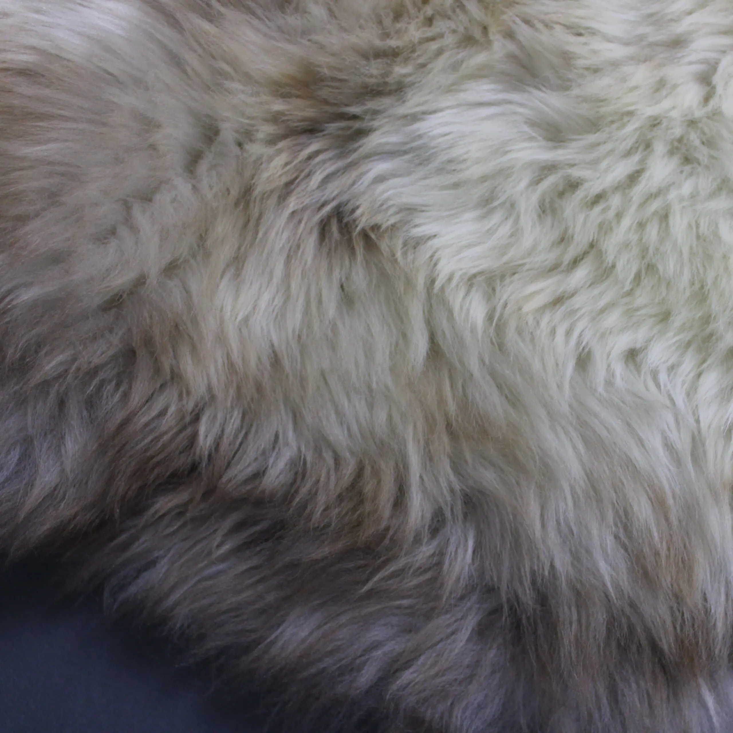 Rare Breed Sheepskin Rug RBM-96