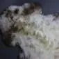 Close-up of a rare breed sheepskin rug featuring thick, cream wool with dark brown and grey mottled patches.