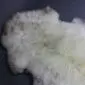 Natural cream sheepskin rug with grey and brown mottled markings and long, textured wool fleece.