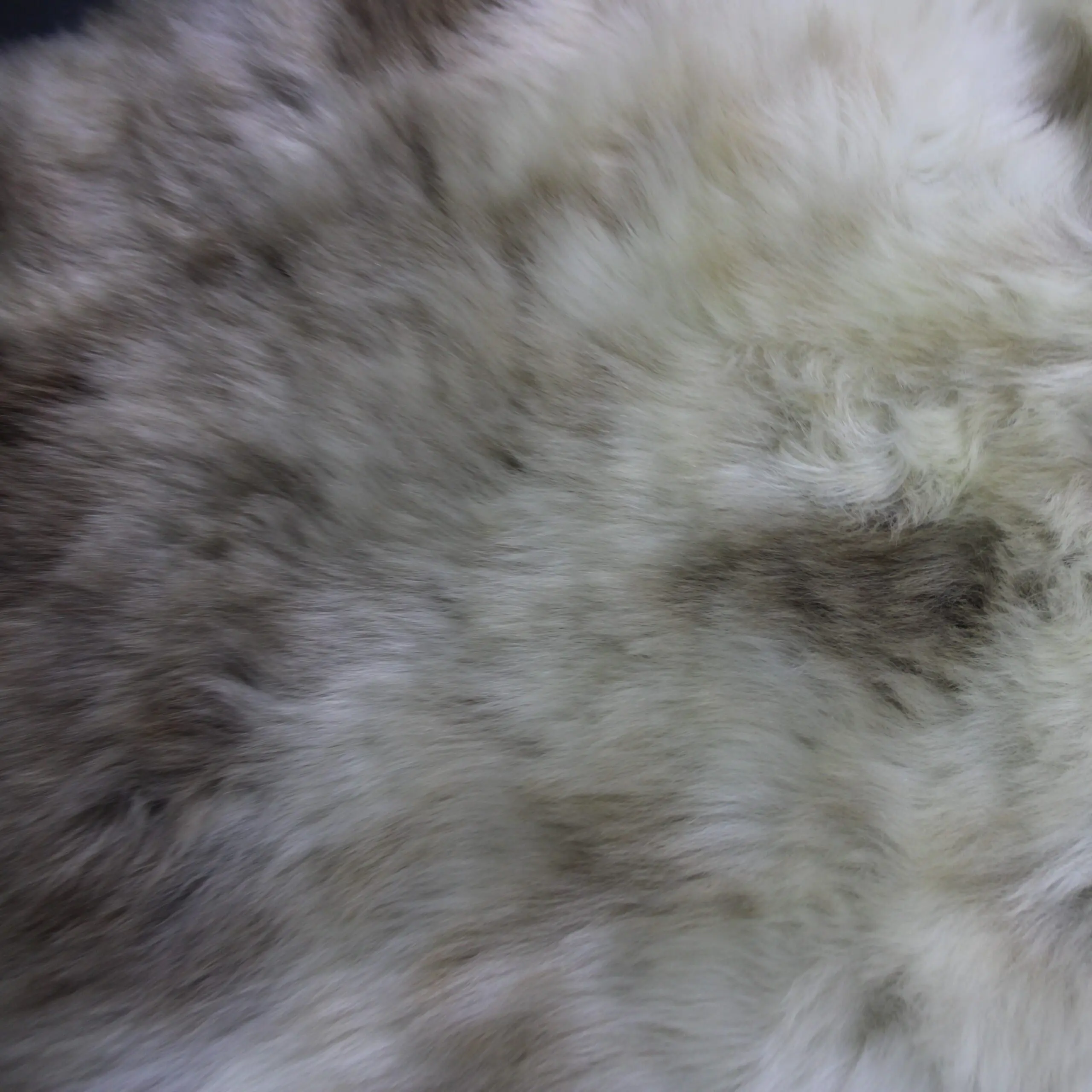Rare Breed Sheepskin Rug RBM-99