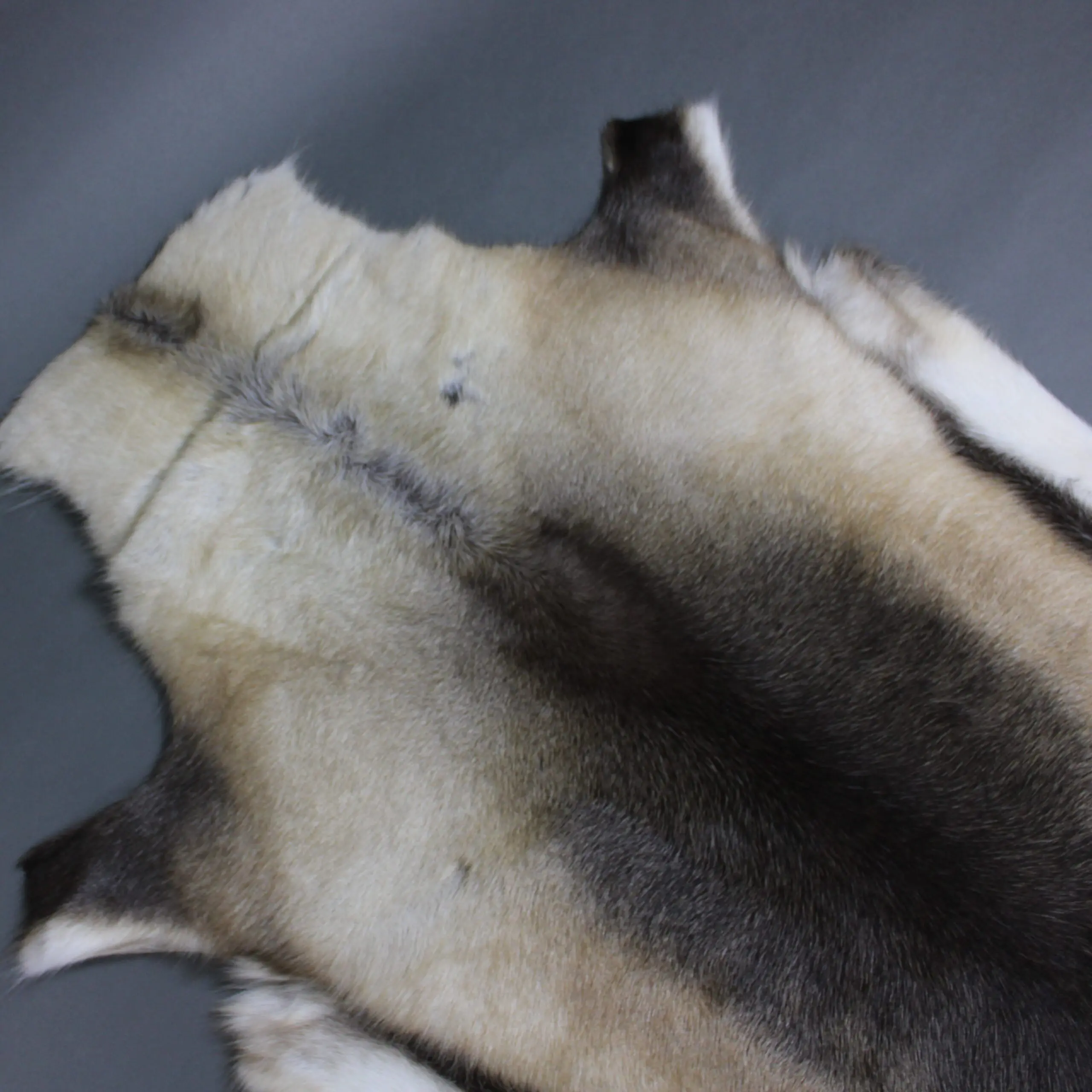 XX Large Reindeer Hide Rug R1231