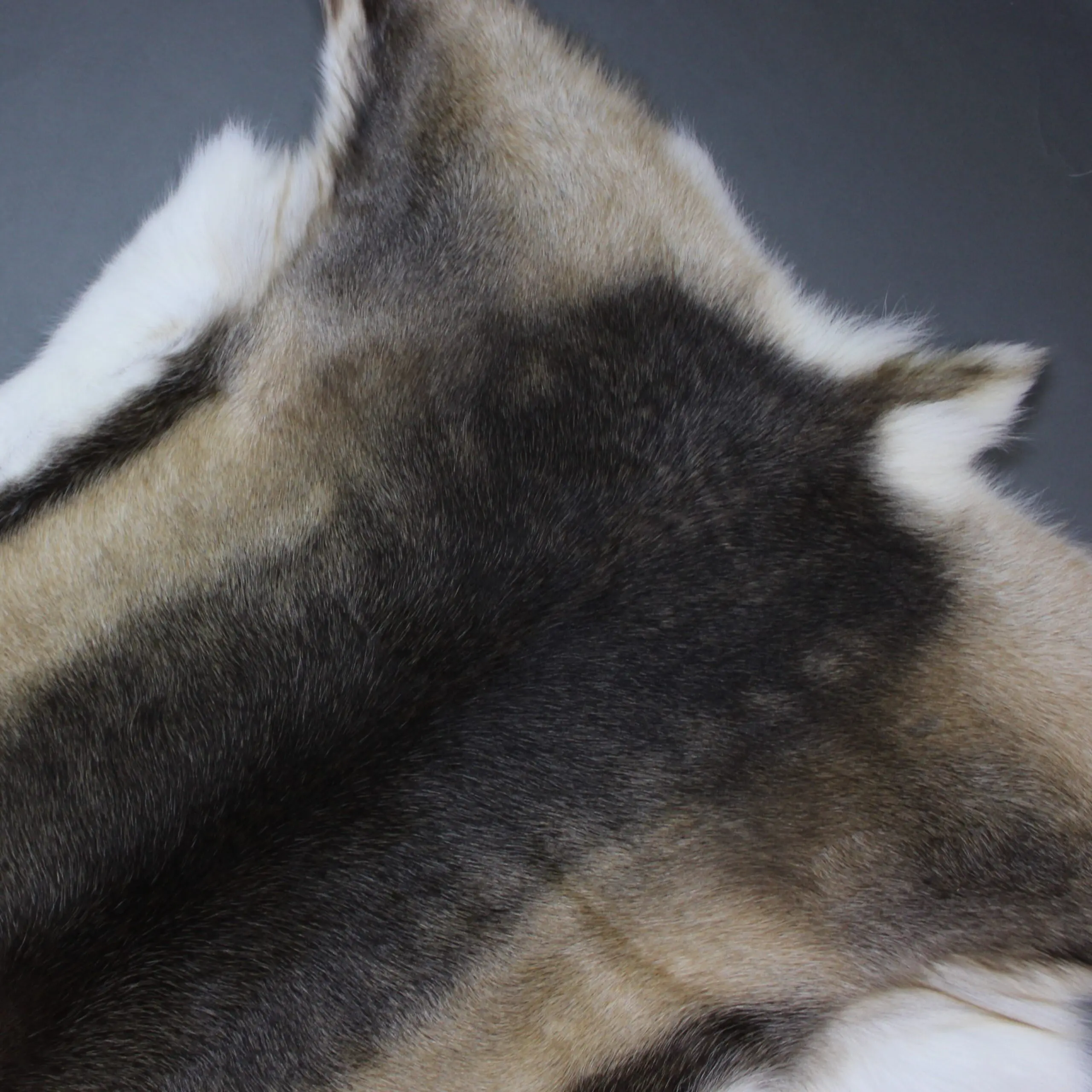 XX Large Reindeer Hide Rug R1231