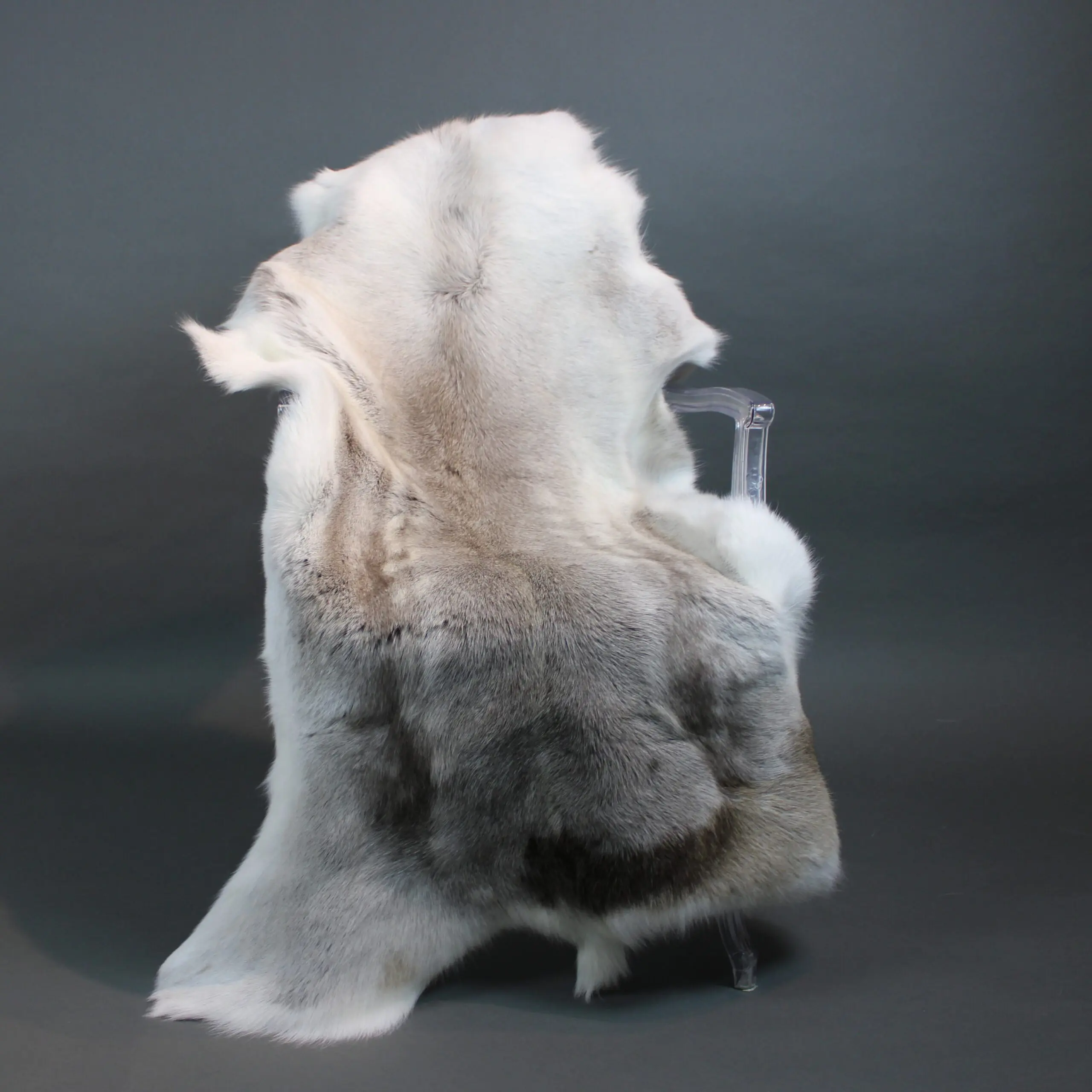 Reindeer Hide Rug R1234