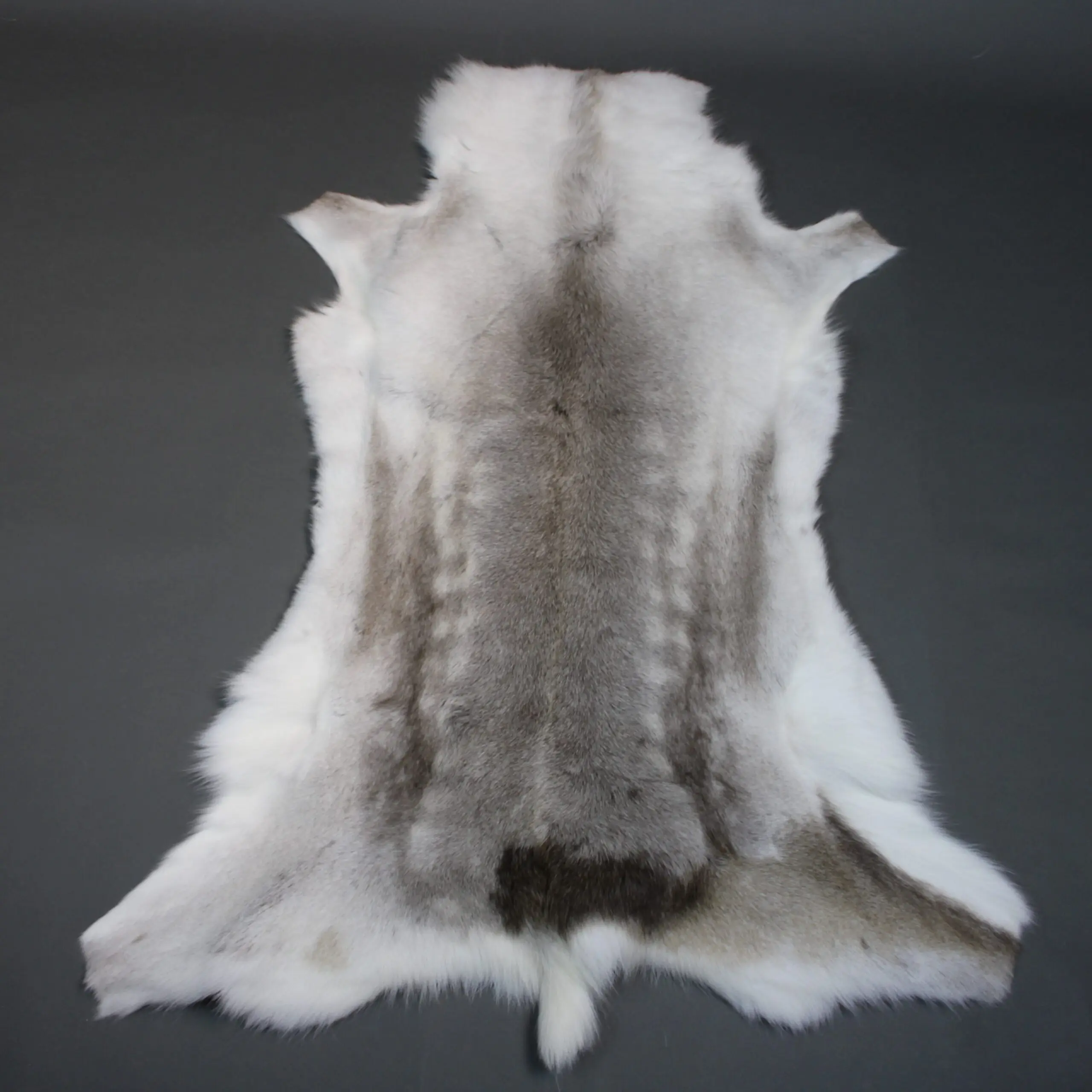 Reindeer Hide Rug R1234