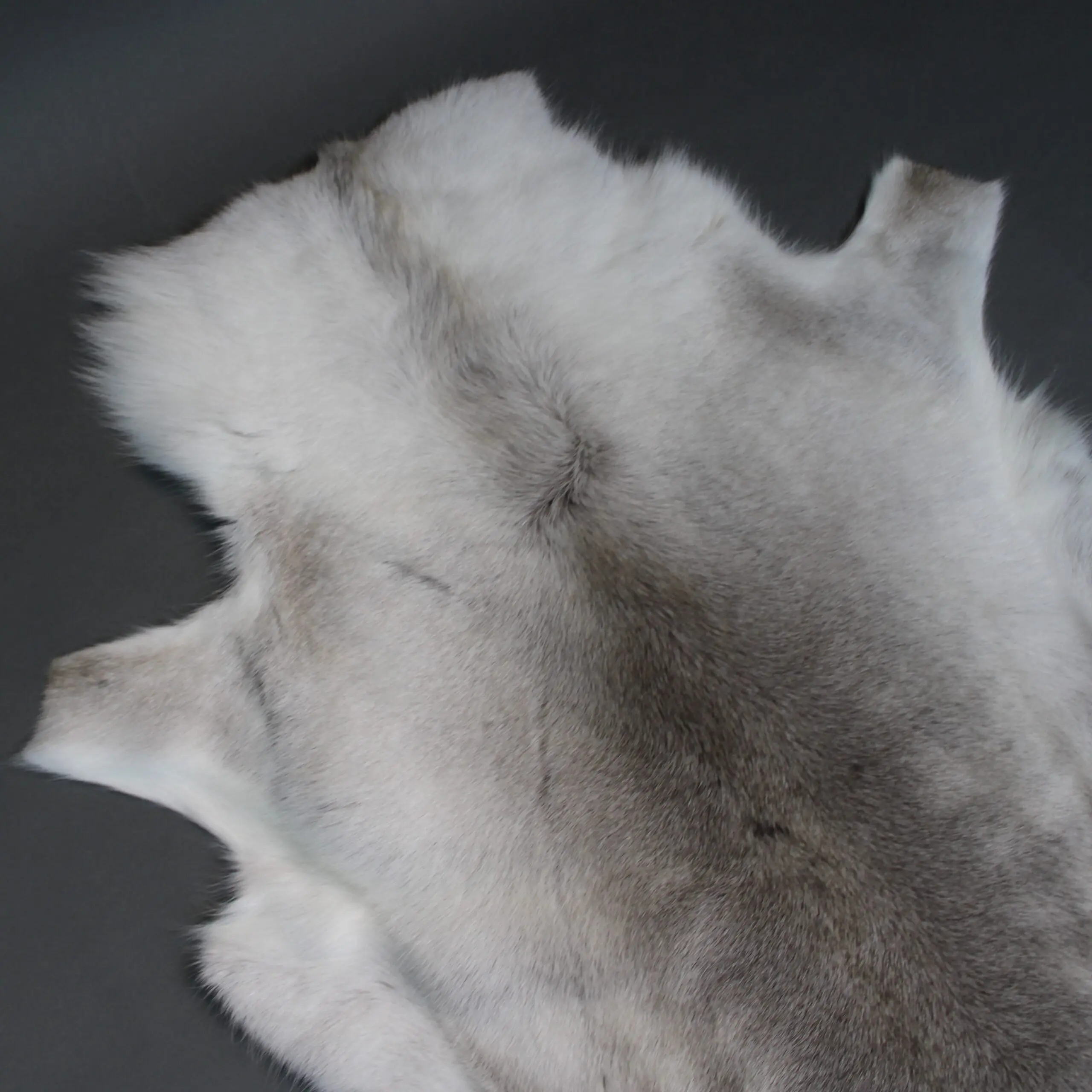 Reindeer Hide Rug R1234