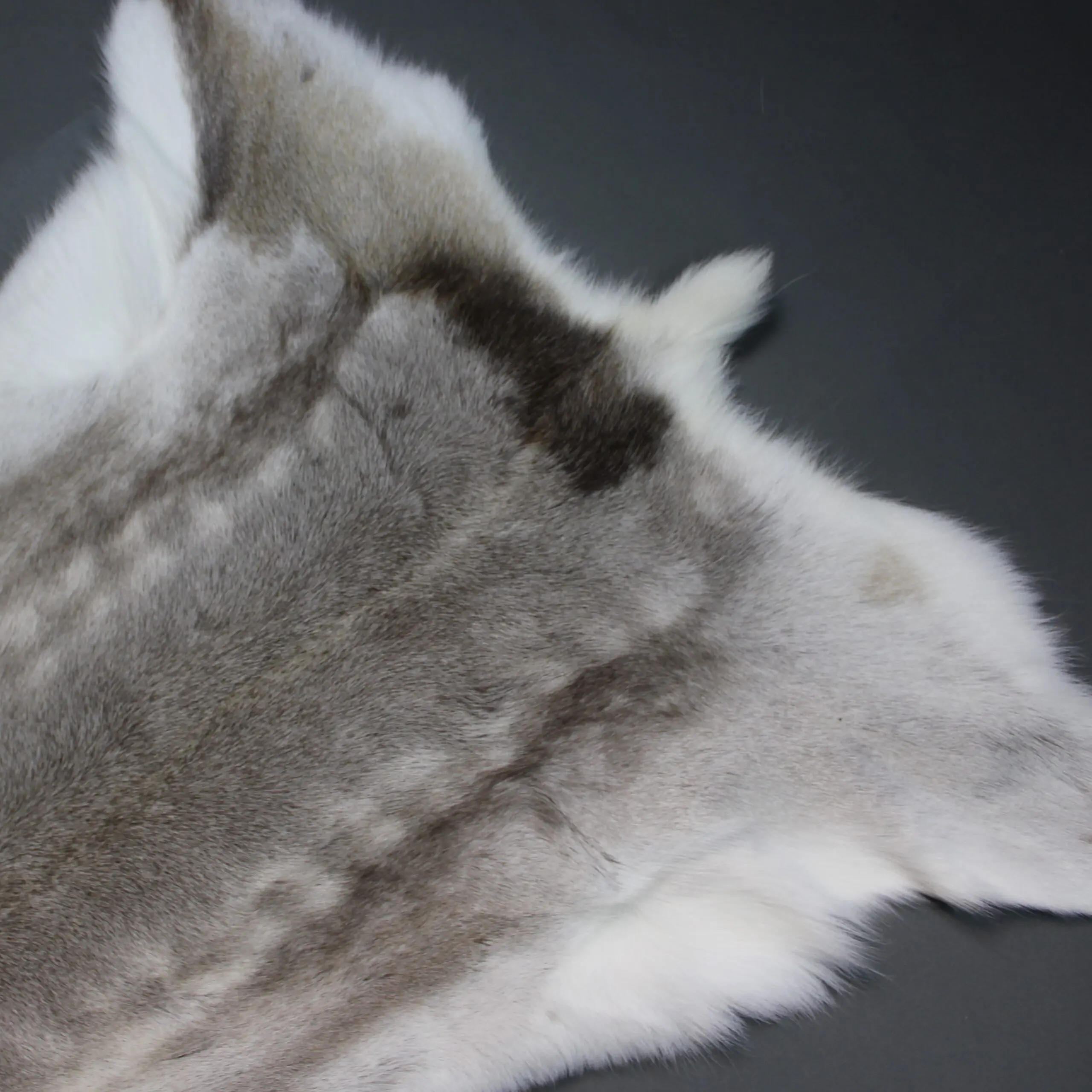 Reindeer Hide Rug R1234