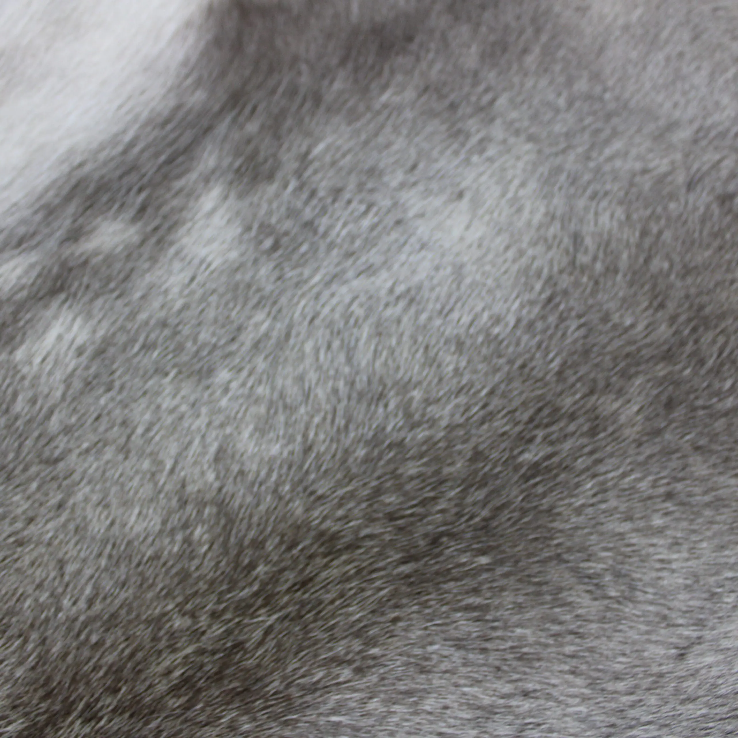 Reindeer Hide Rug R1236