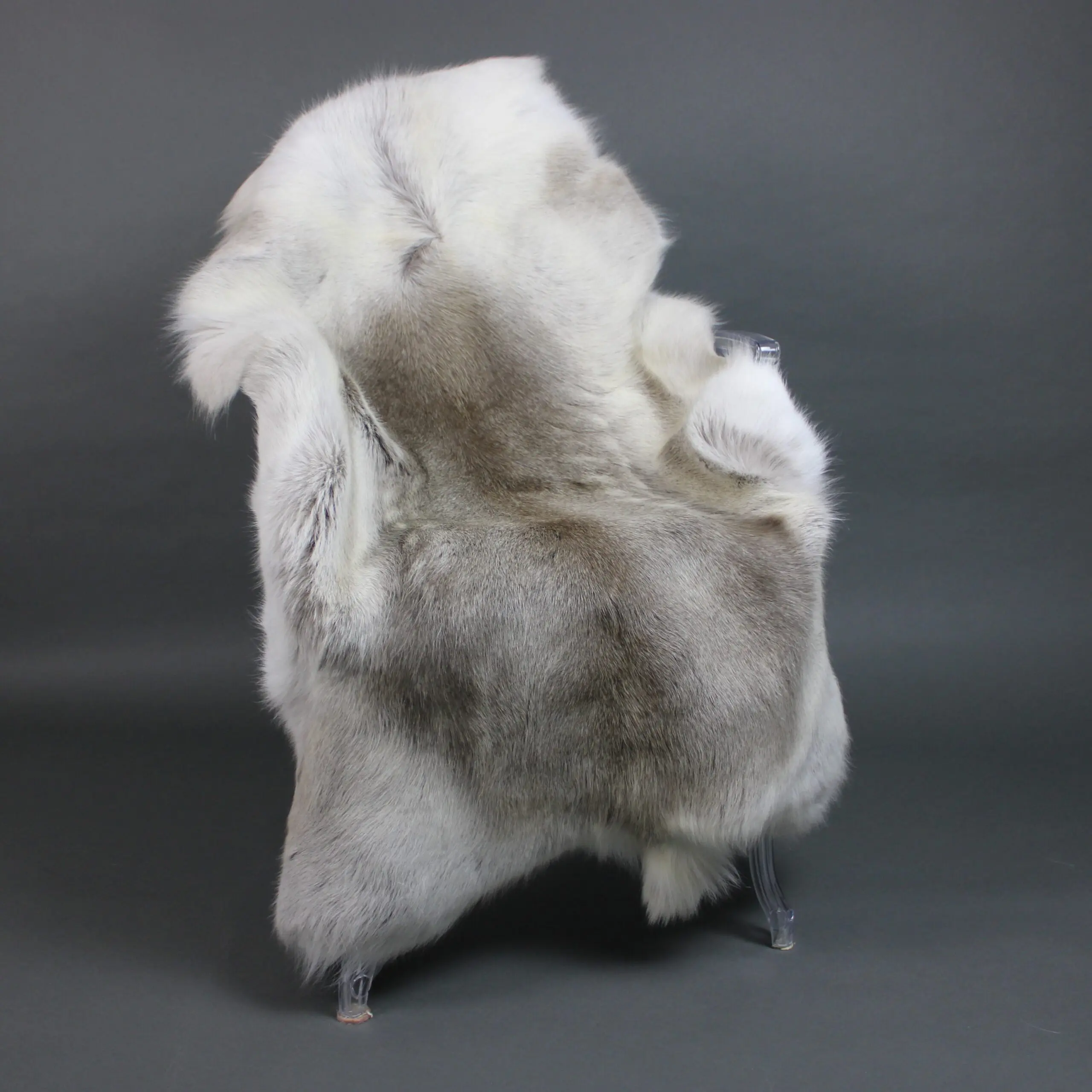 Reindeer Hide Rug R1236