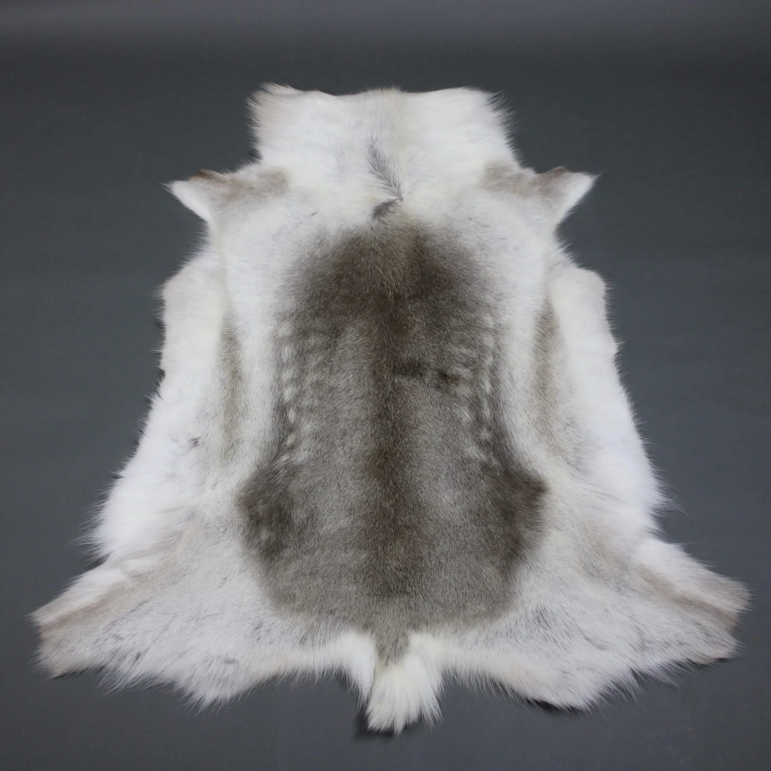Reindeer Hide Rug R1236