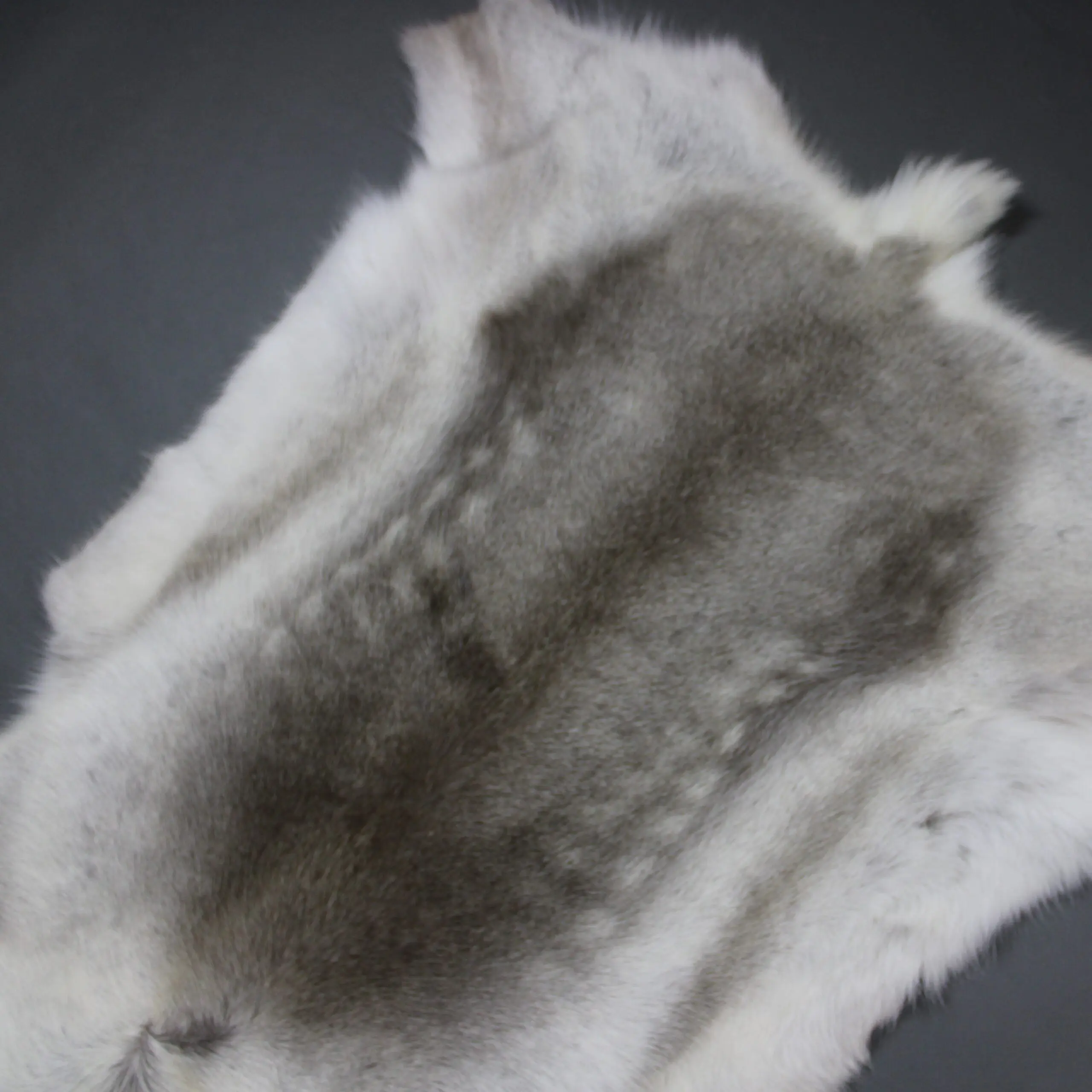 Reindeer Hide Rug R1236