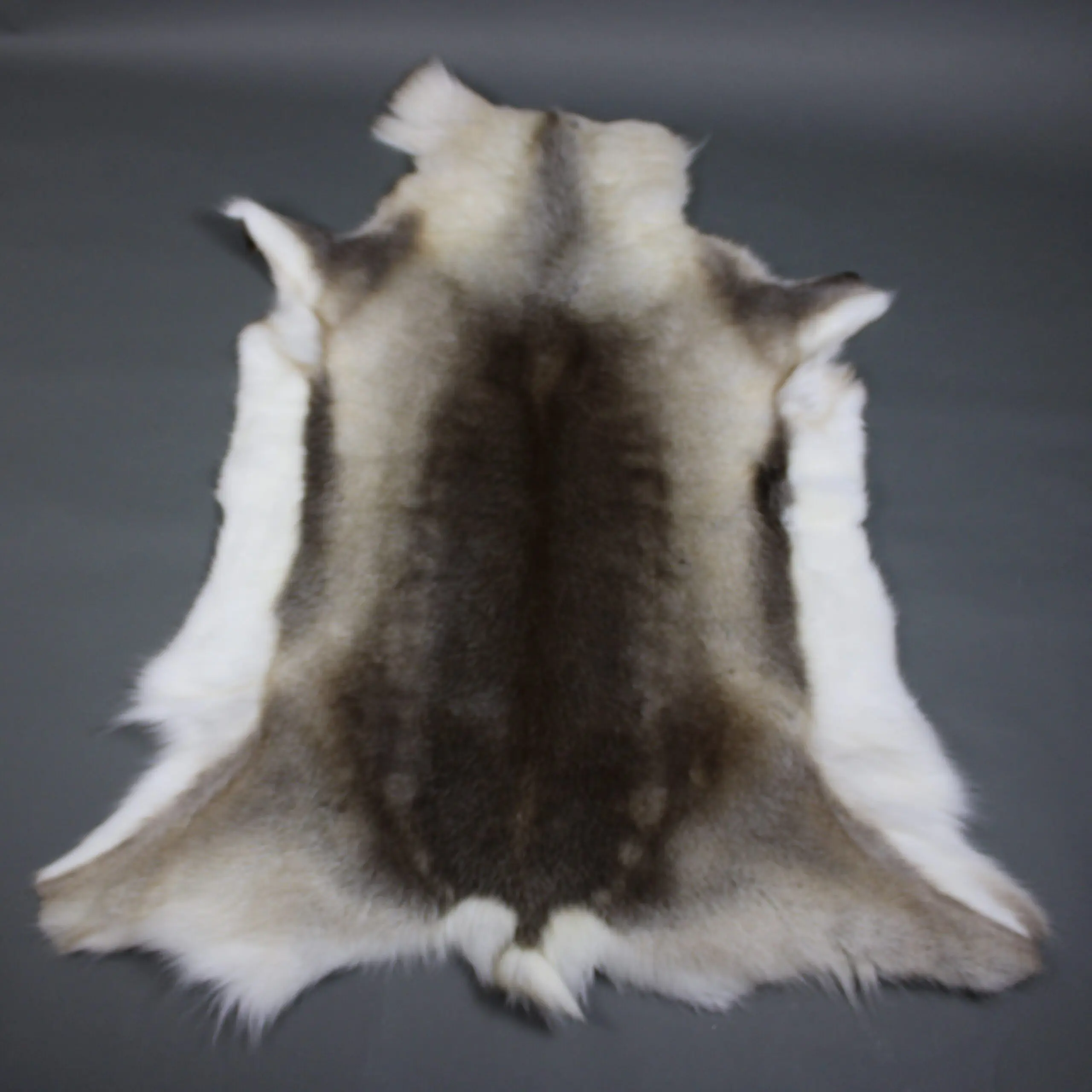 X Large Reindeer Hide Rug R1240