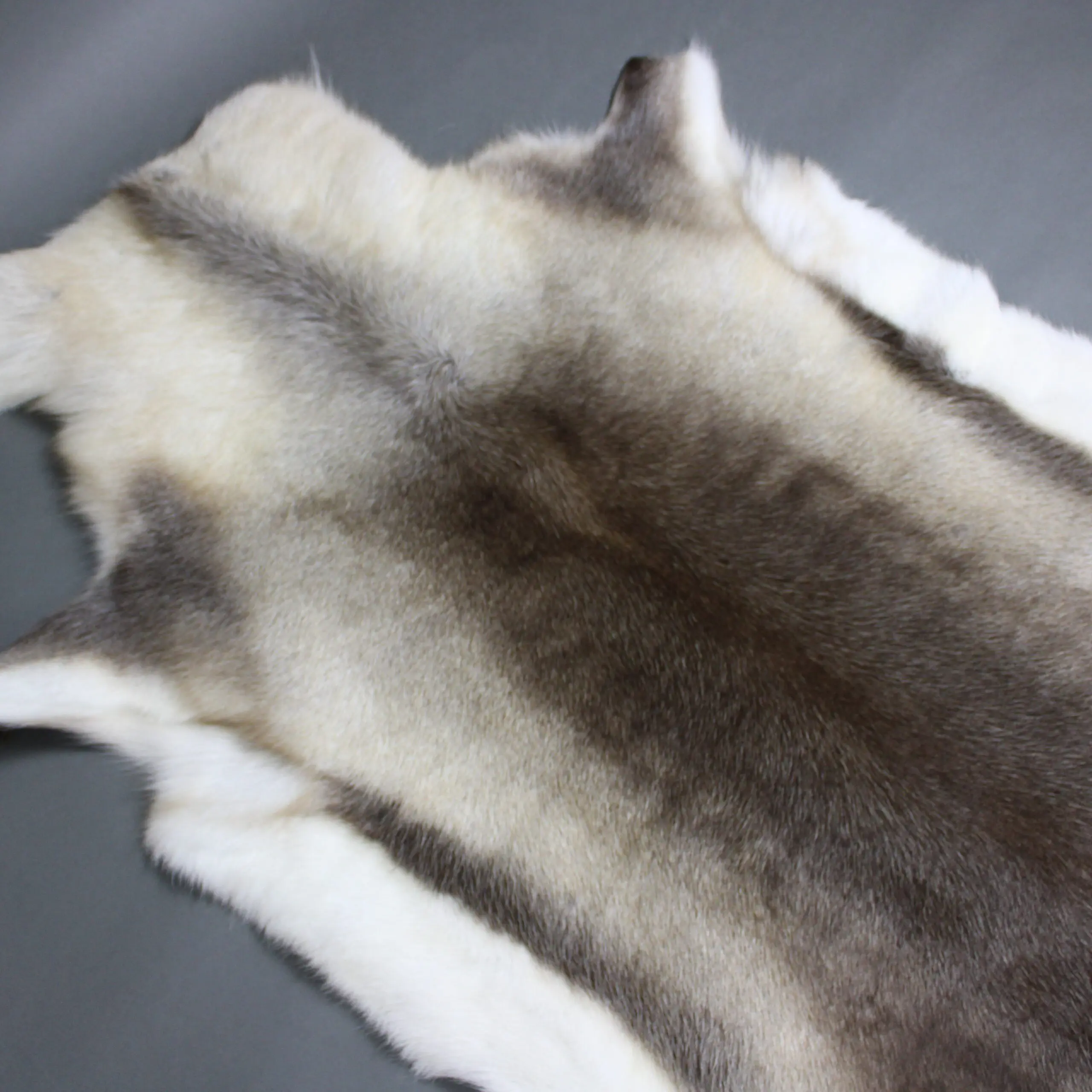 X Large Reindeer Hide Rug R1240