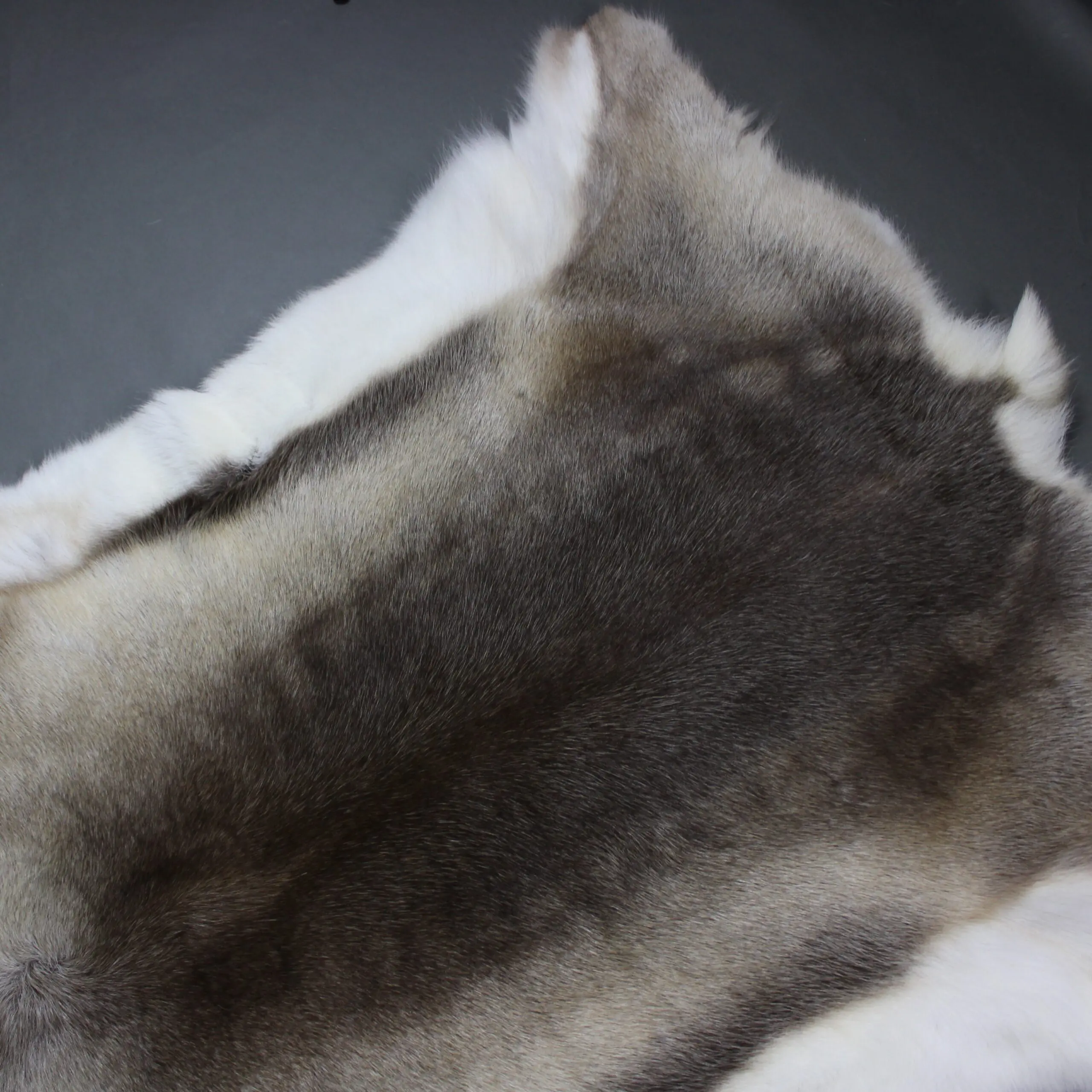 X Large Reindeer Hide Rug R1240