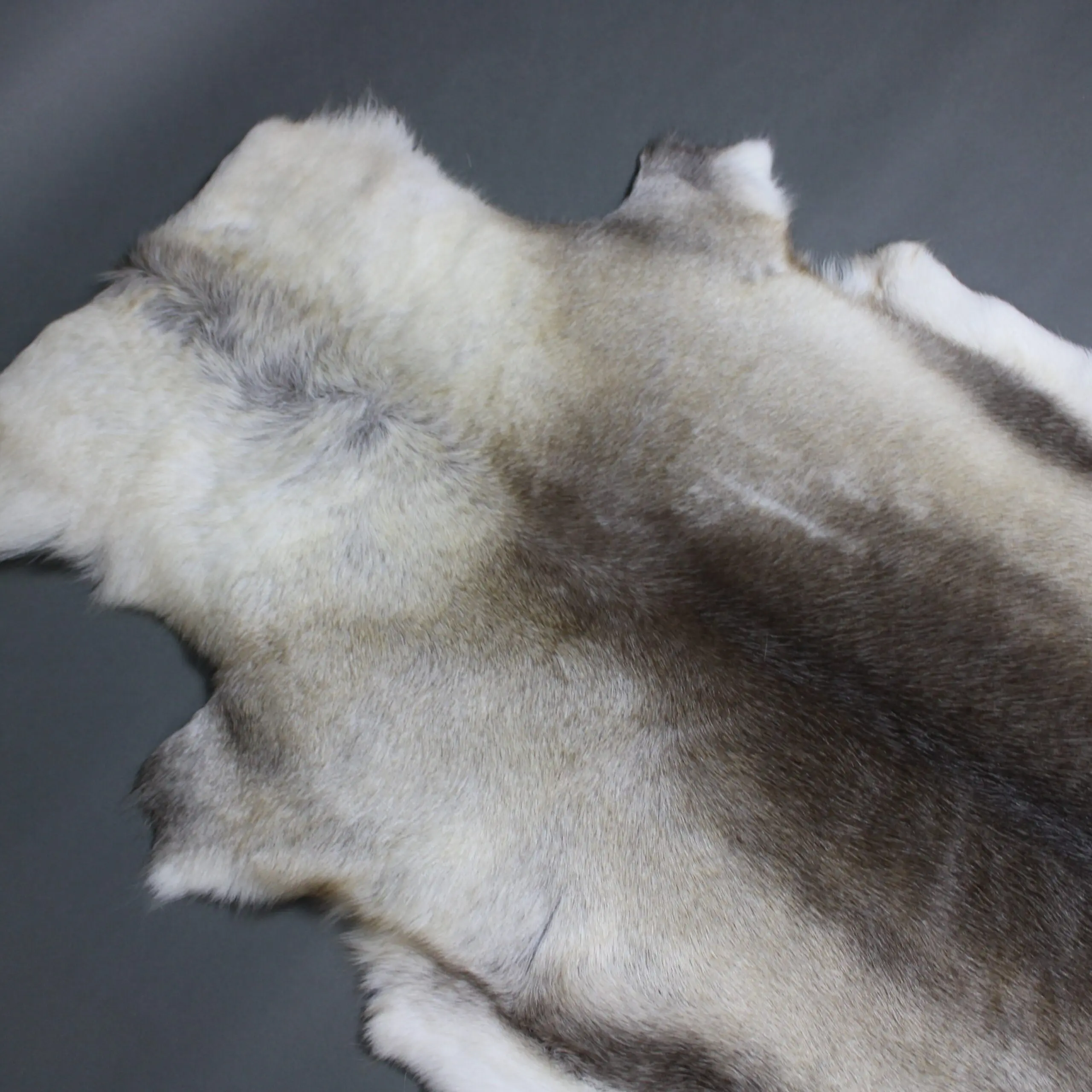 Large Reindeer Hide Rug R1241